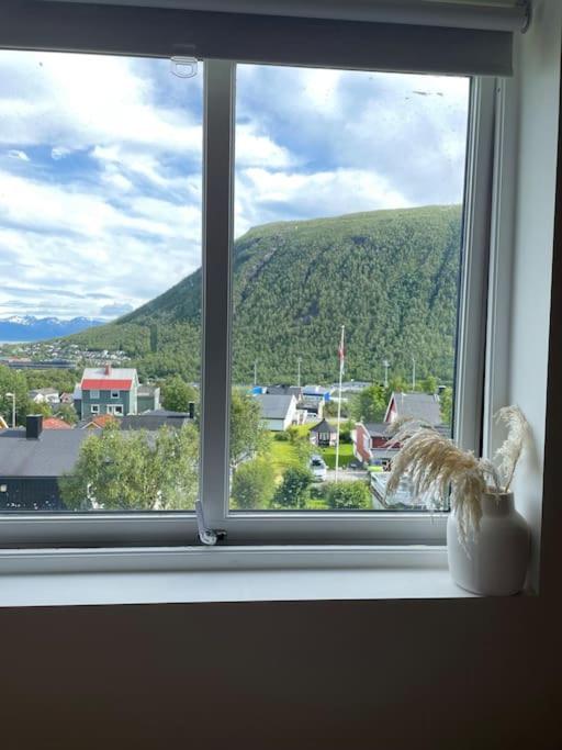 Newly renovated apartment with a view view 2