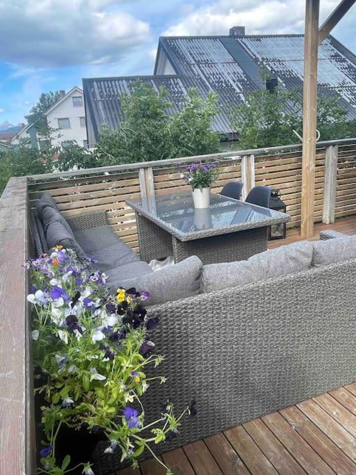 Newly renovated apartment with a view view 3
