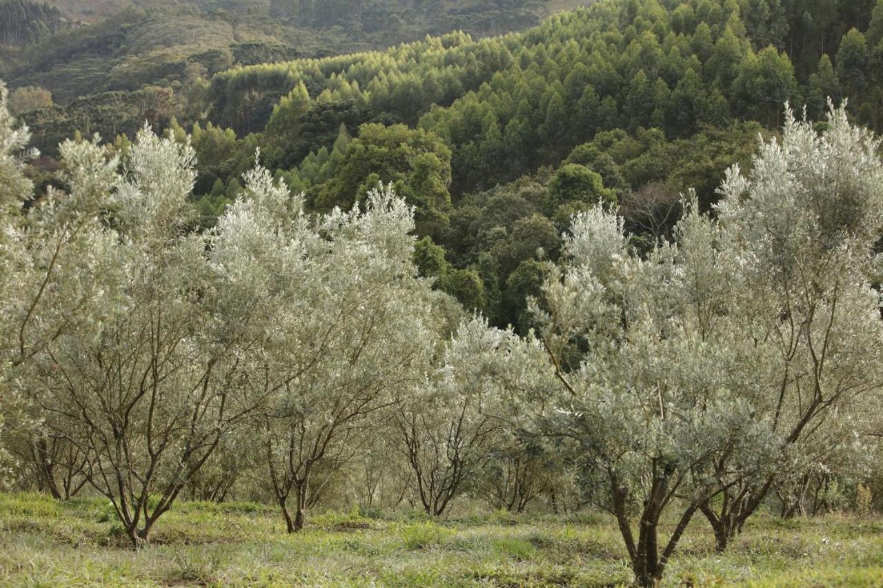 Chalés Aiu 2