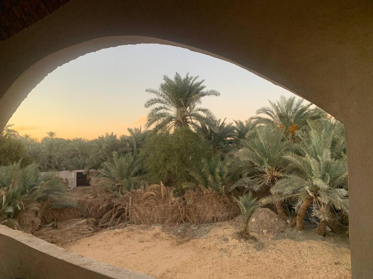Oum House Siwa