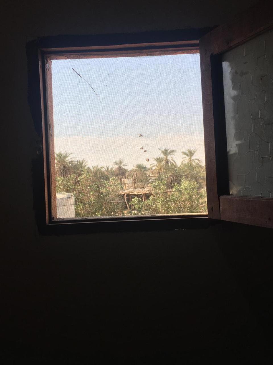 Oum House Siwa