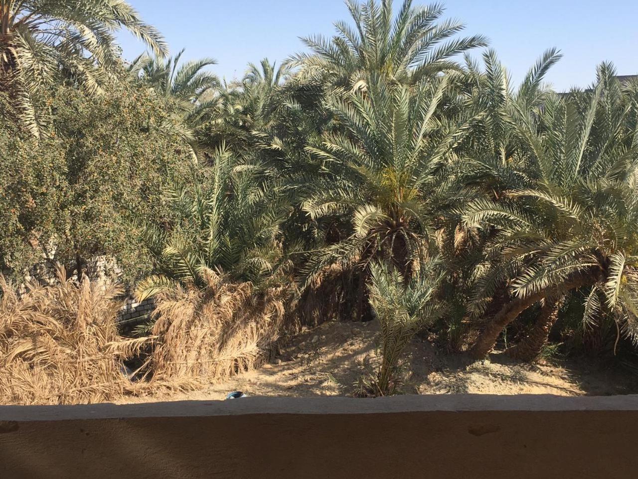 Oum House Siwa