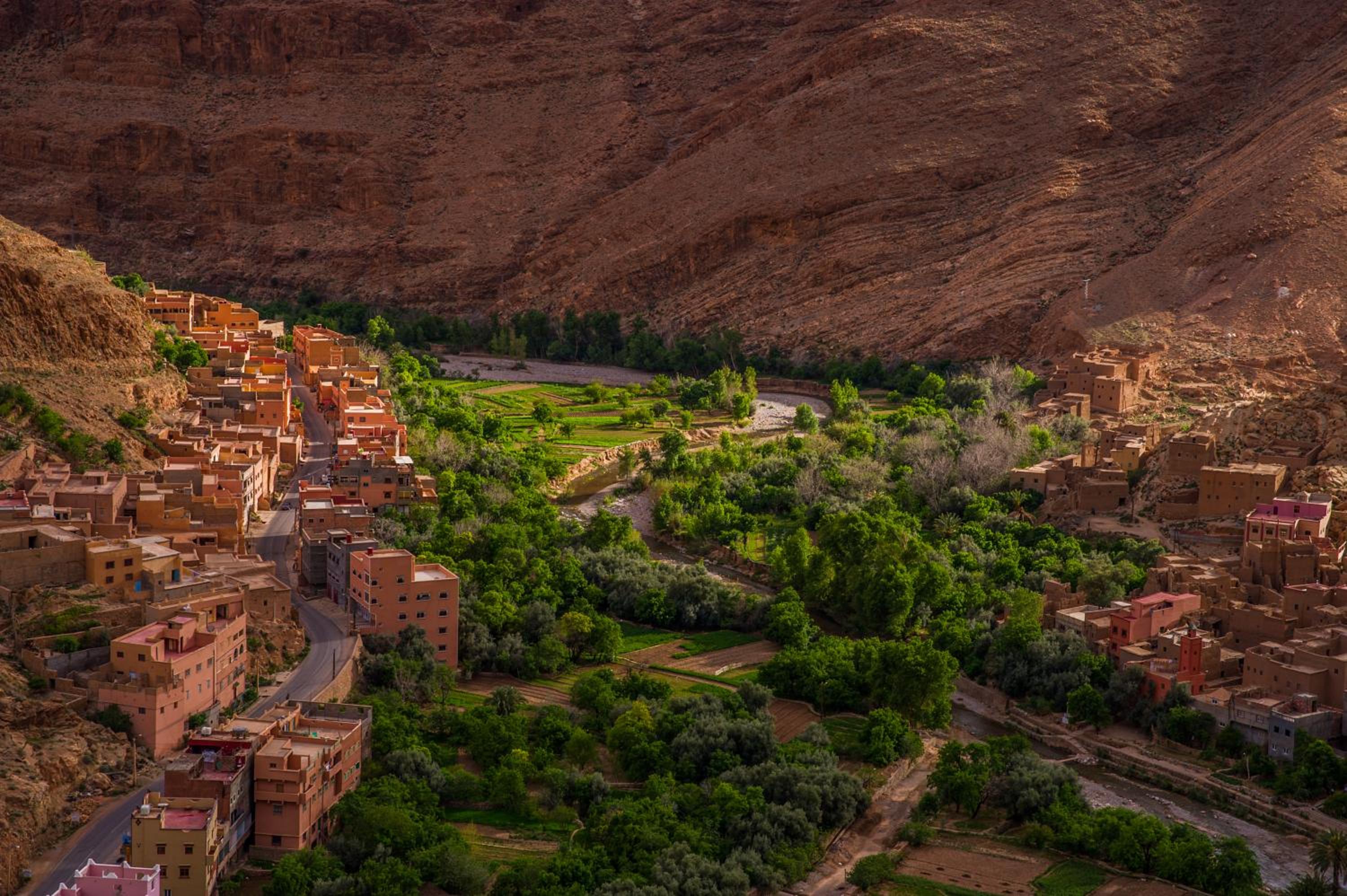 Dar tiwira