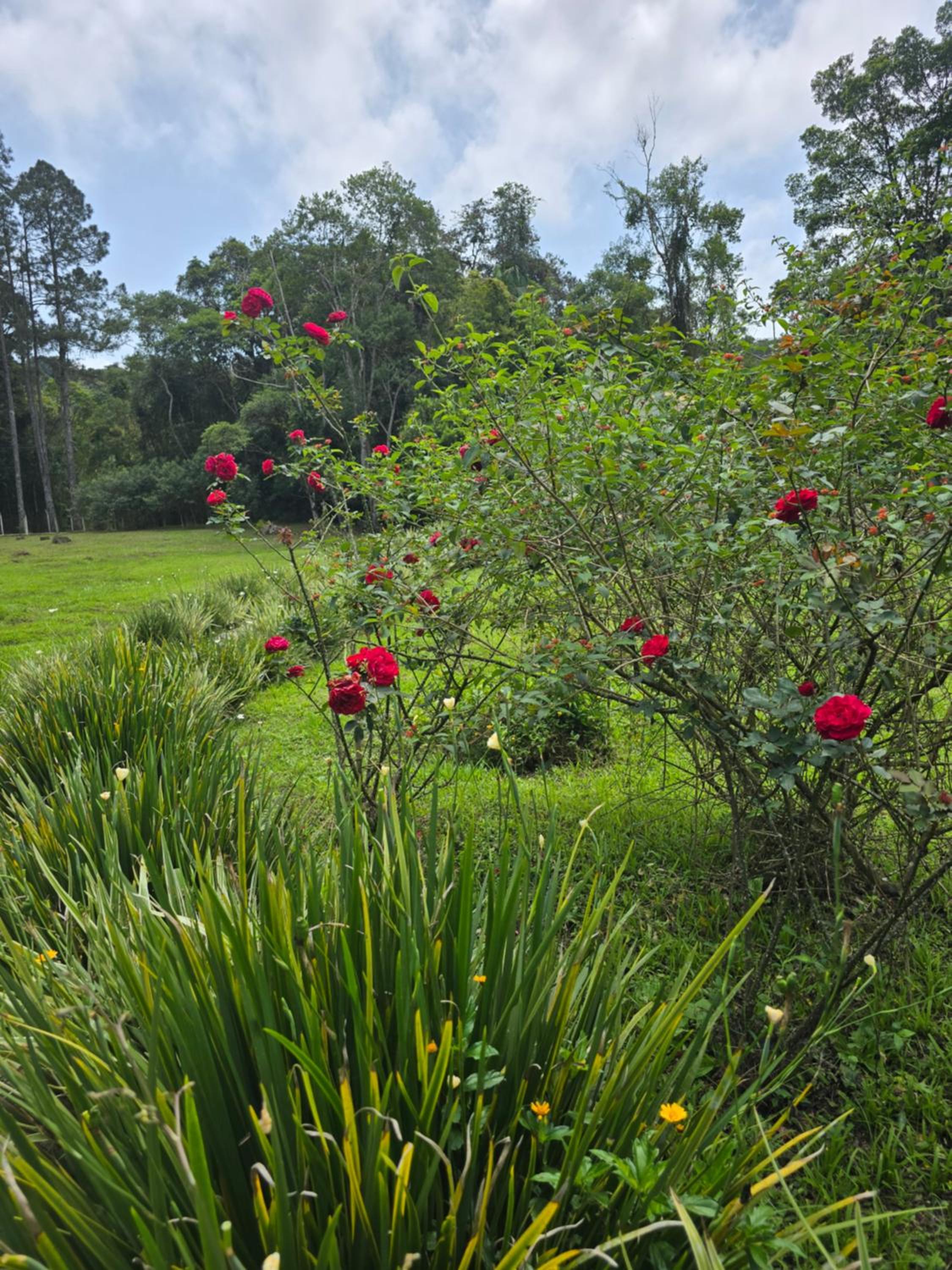 Sitio Herzland