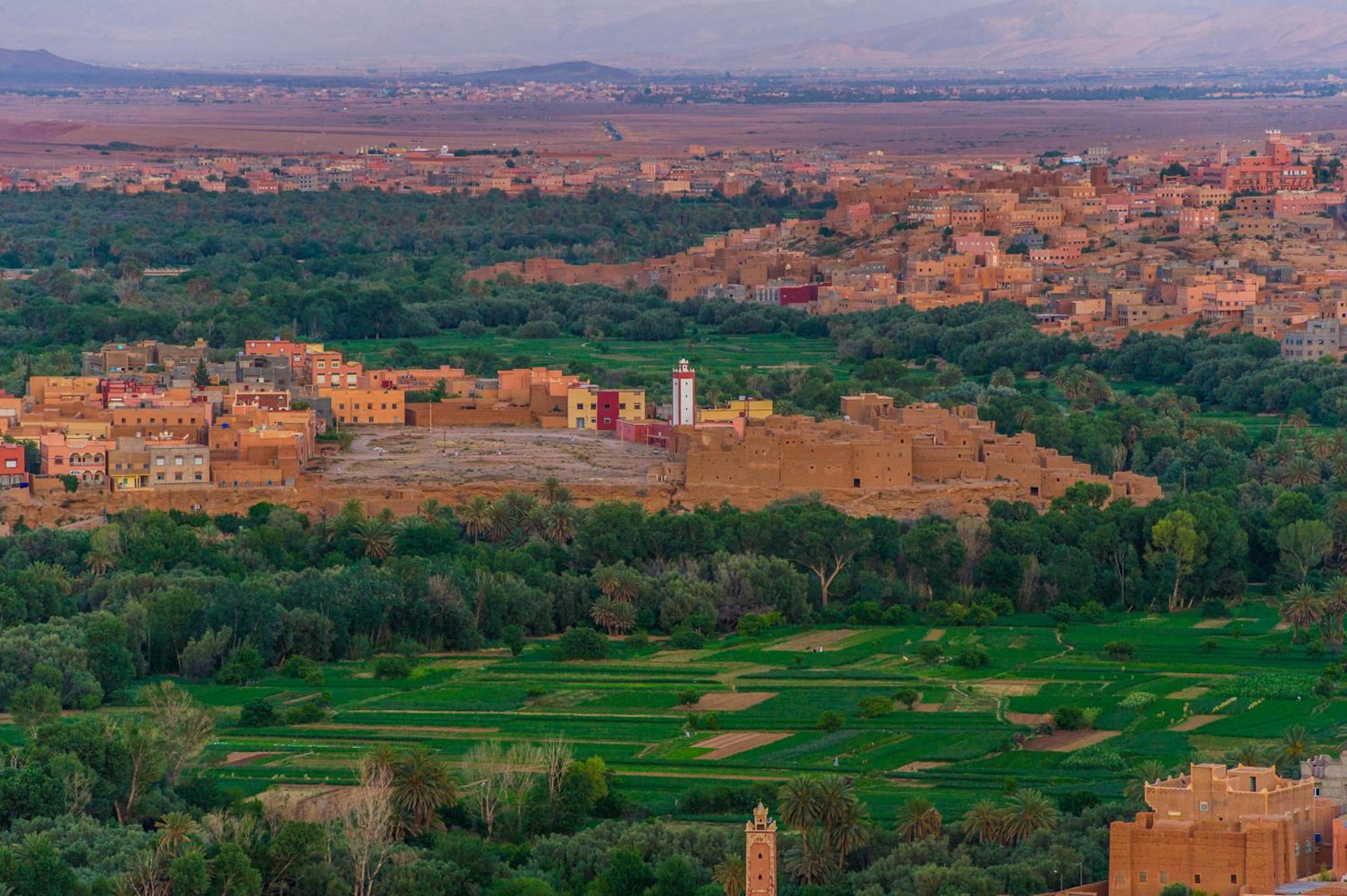Dar tiwira