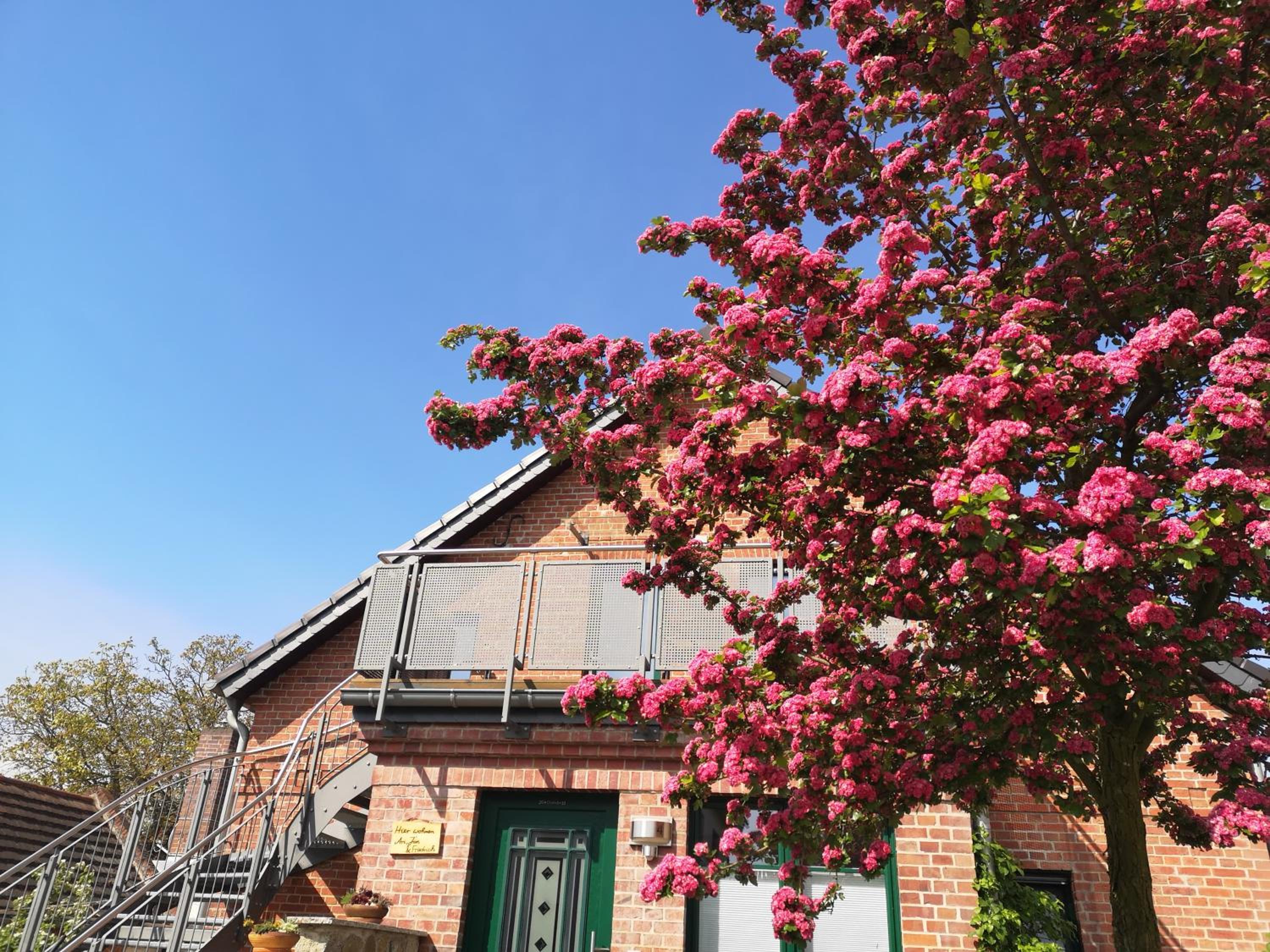 Ferienwohnung im Vogelhaus mit Dachterasse und großem Garten