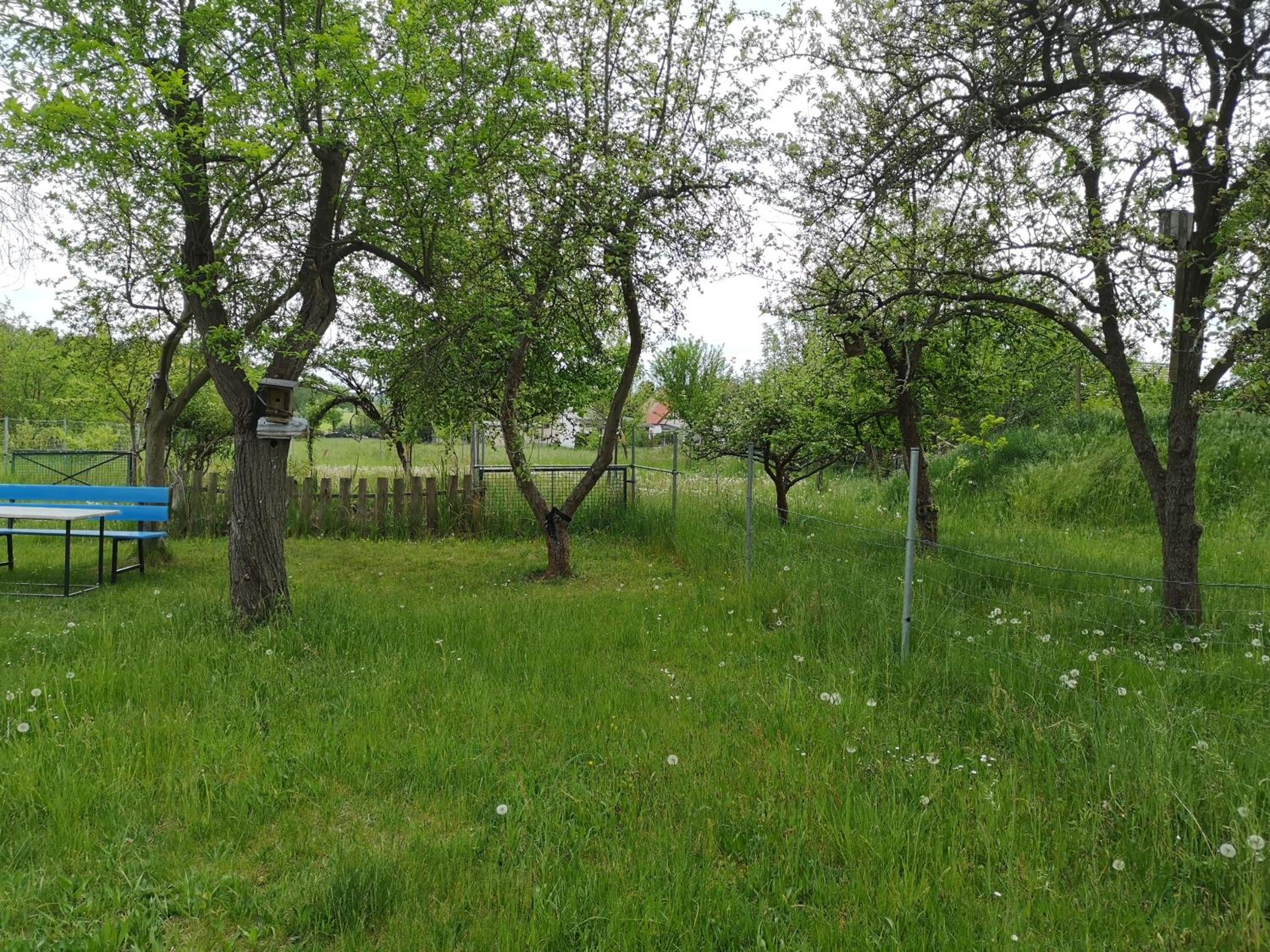 Ferienwohnung im Vogelhaus mit Dachterasse und großem Garten