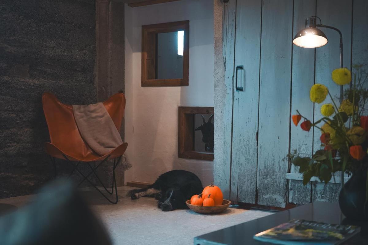 Landurlaub mit neugierigen Blicken in den Pferdestall, eingezäuntem Garten, Kamin und Sauna