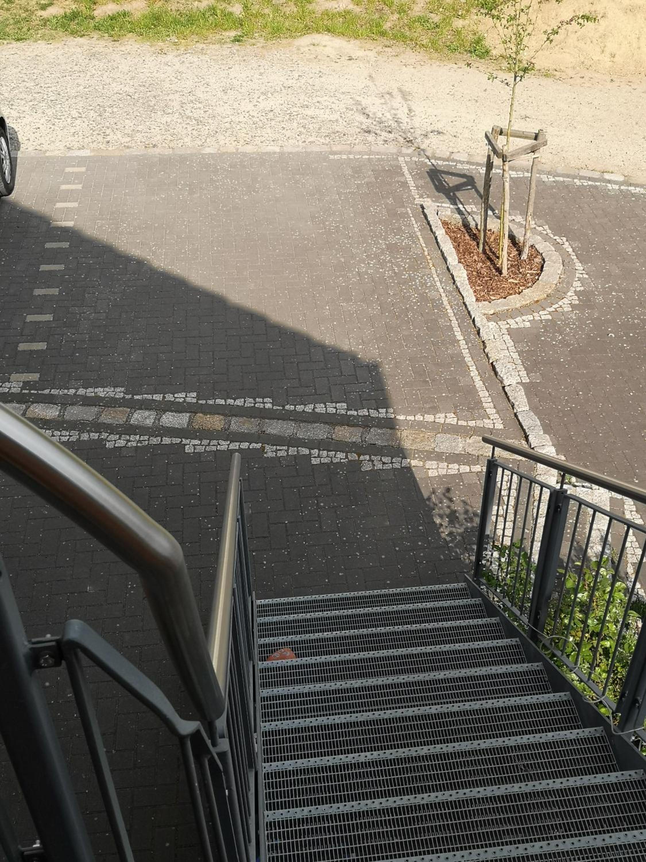 Ferienwohnung im Vogelhaus mit Dachterasse und großem Garten