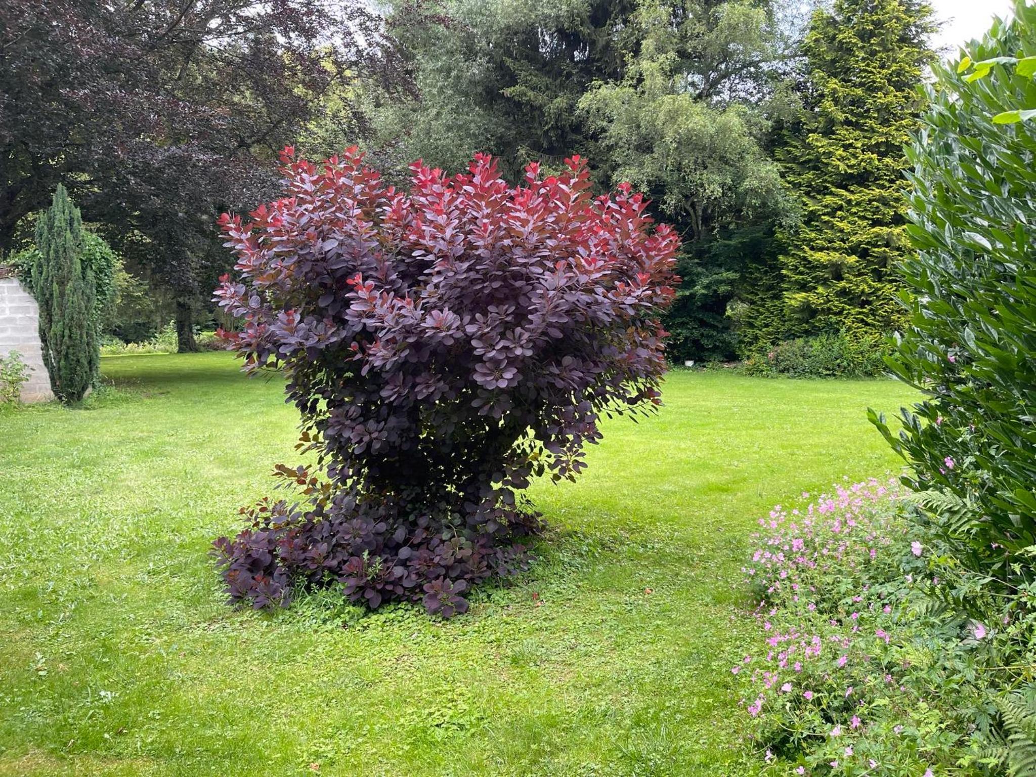 La parenthèse nature