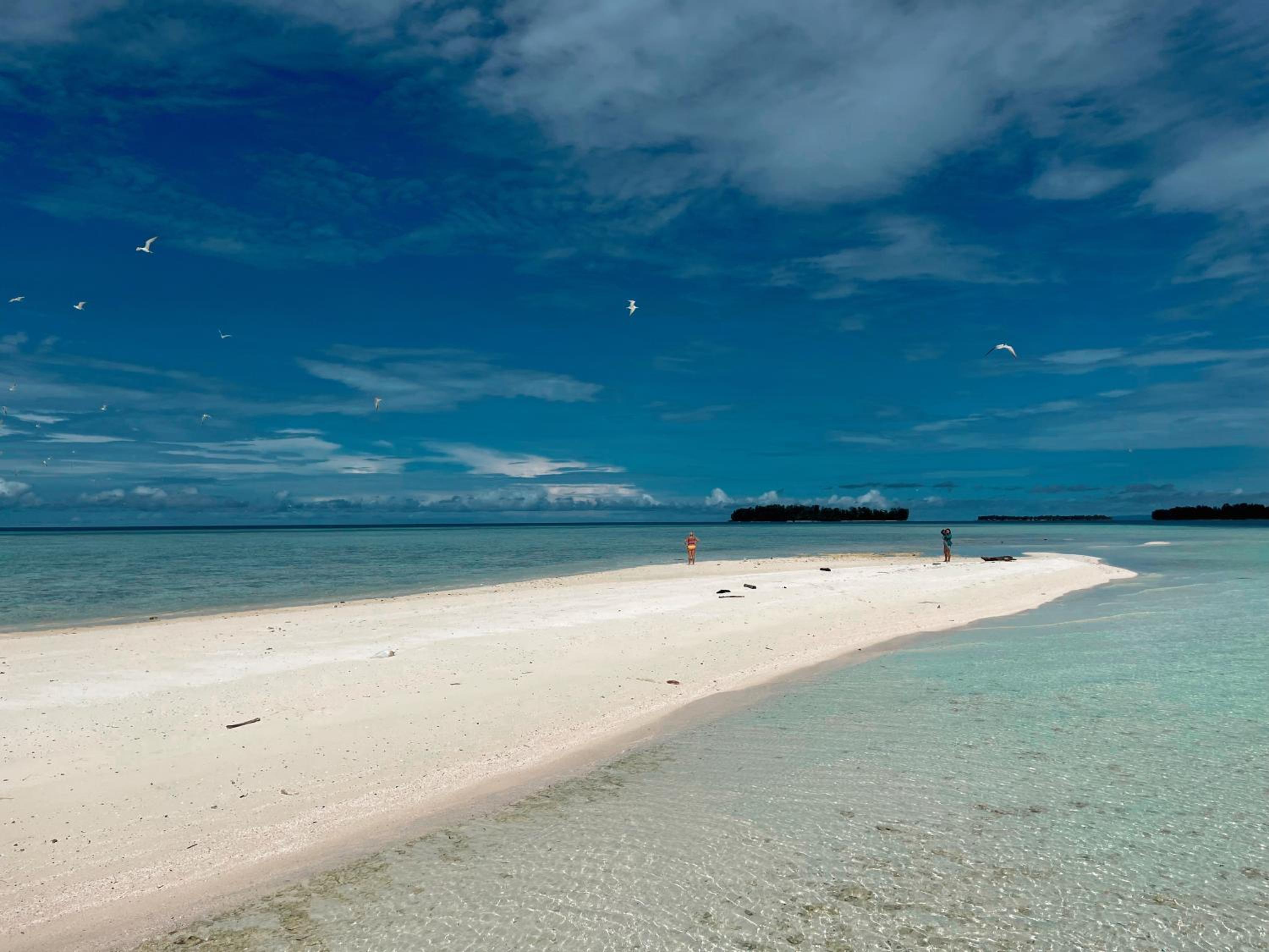 Tamaku homestay privat island