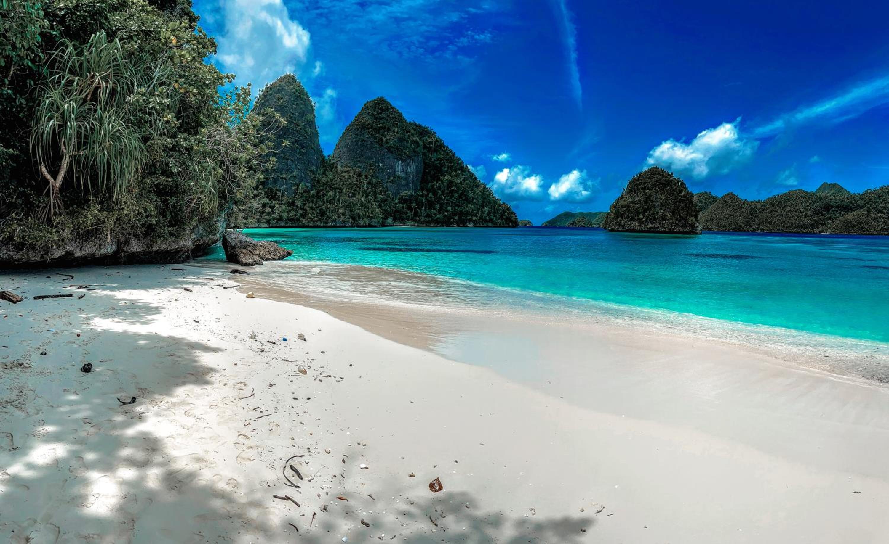 Tamaku homestay privat island