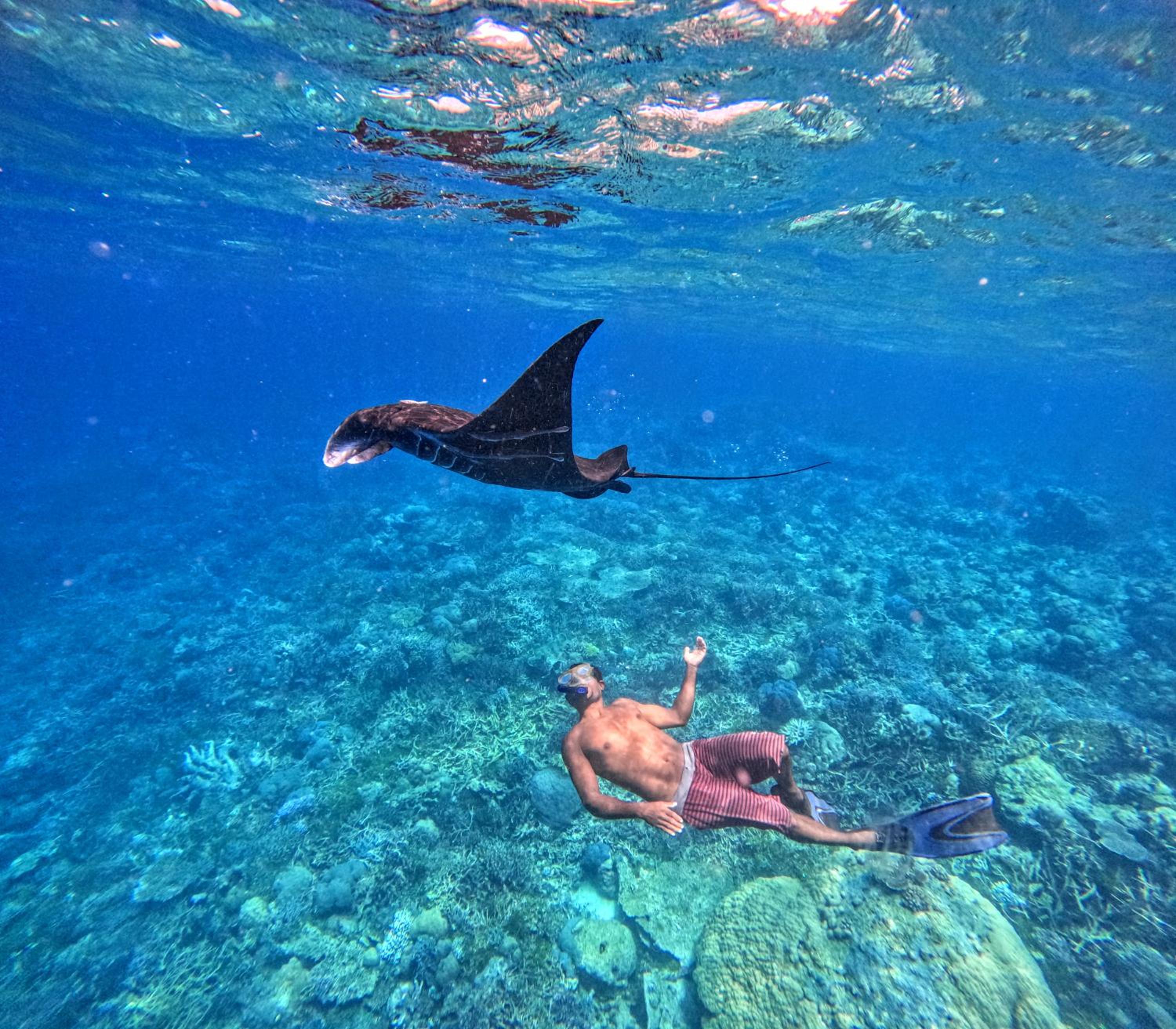 Tamaku homestay privat island