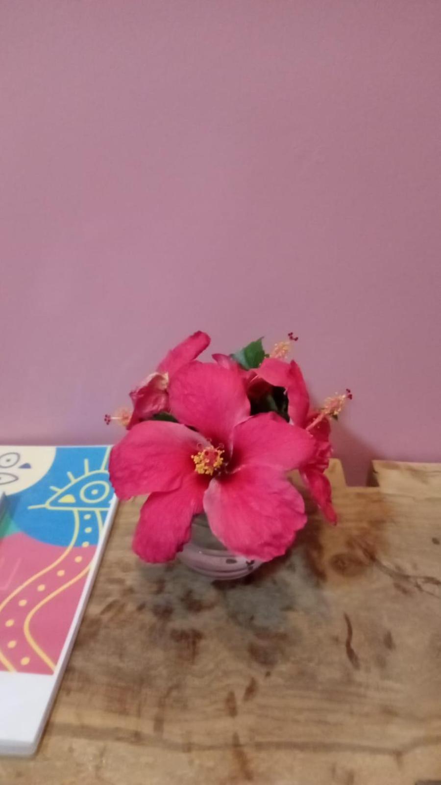POUSADA IPIRÃTÃ - Turismo de Vivência Cultural