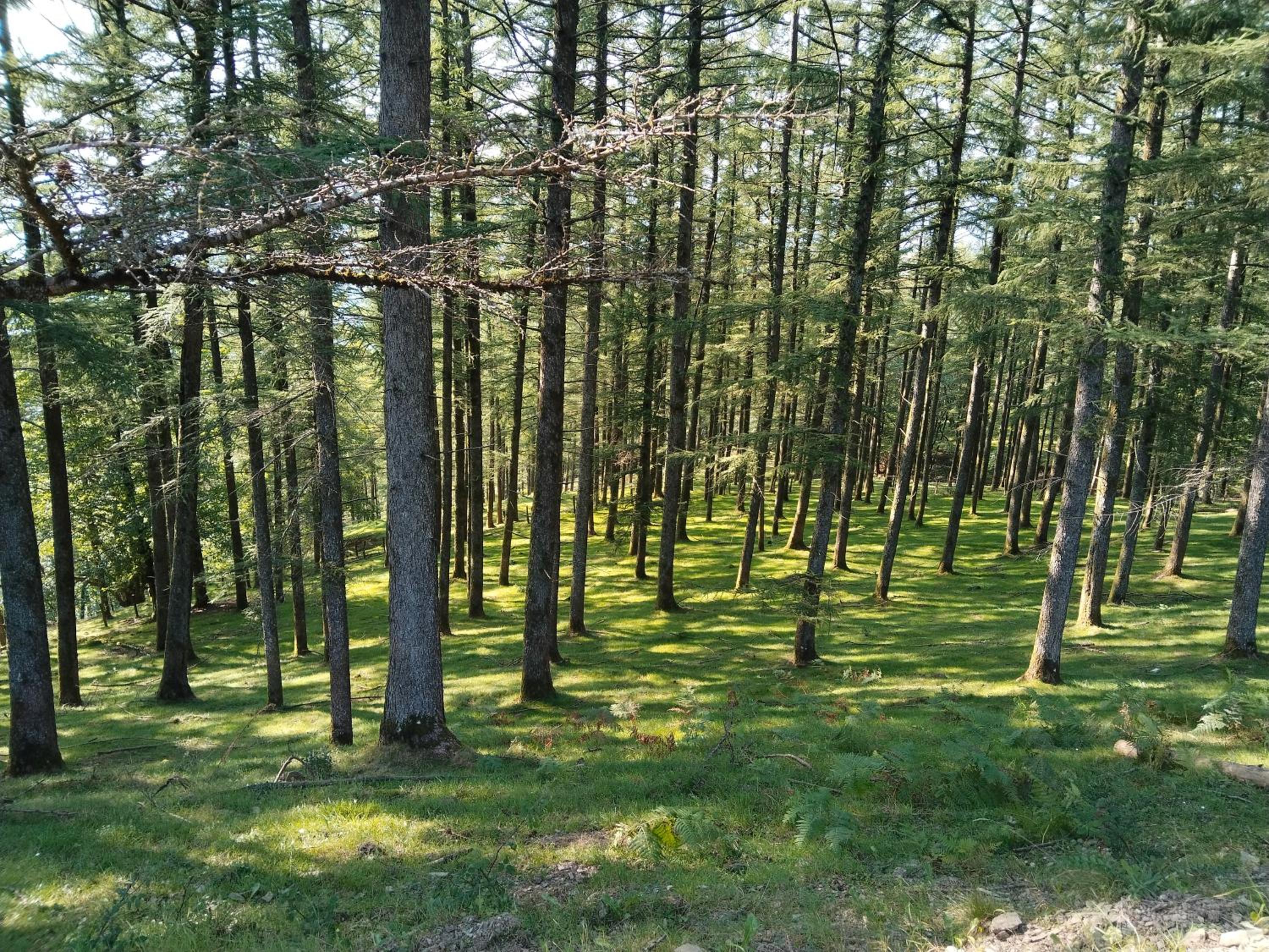 Photo 41