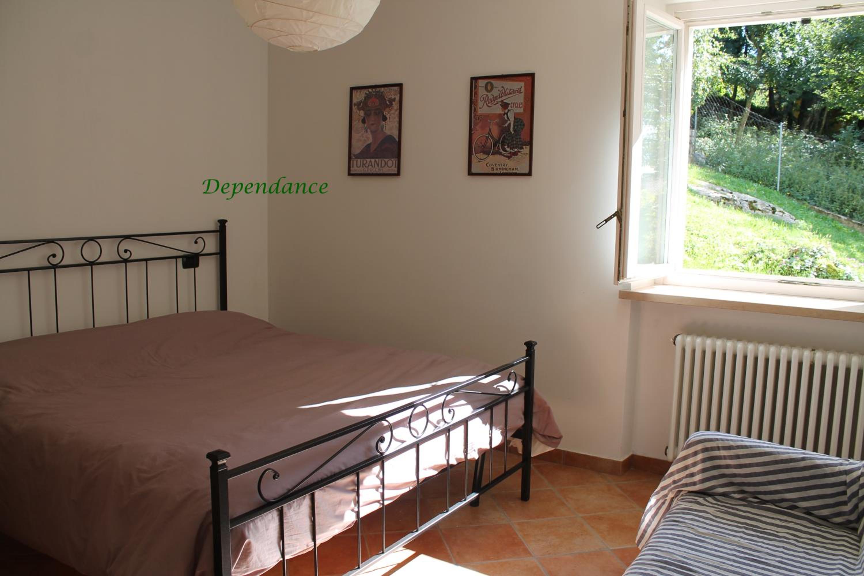Photo 46