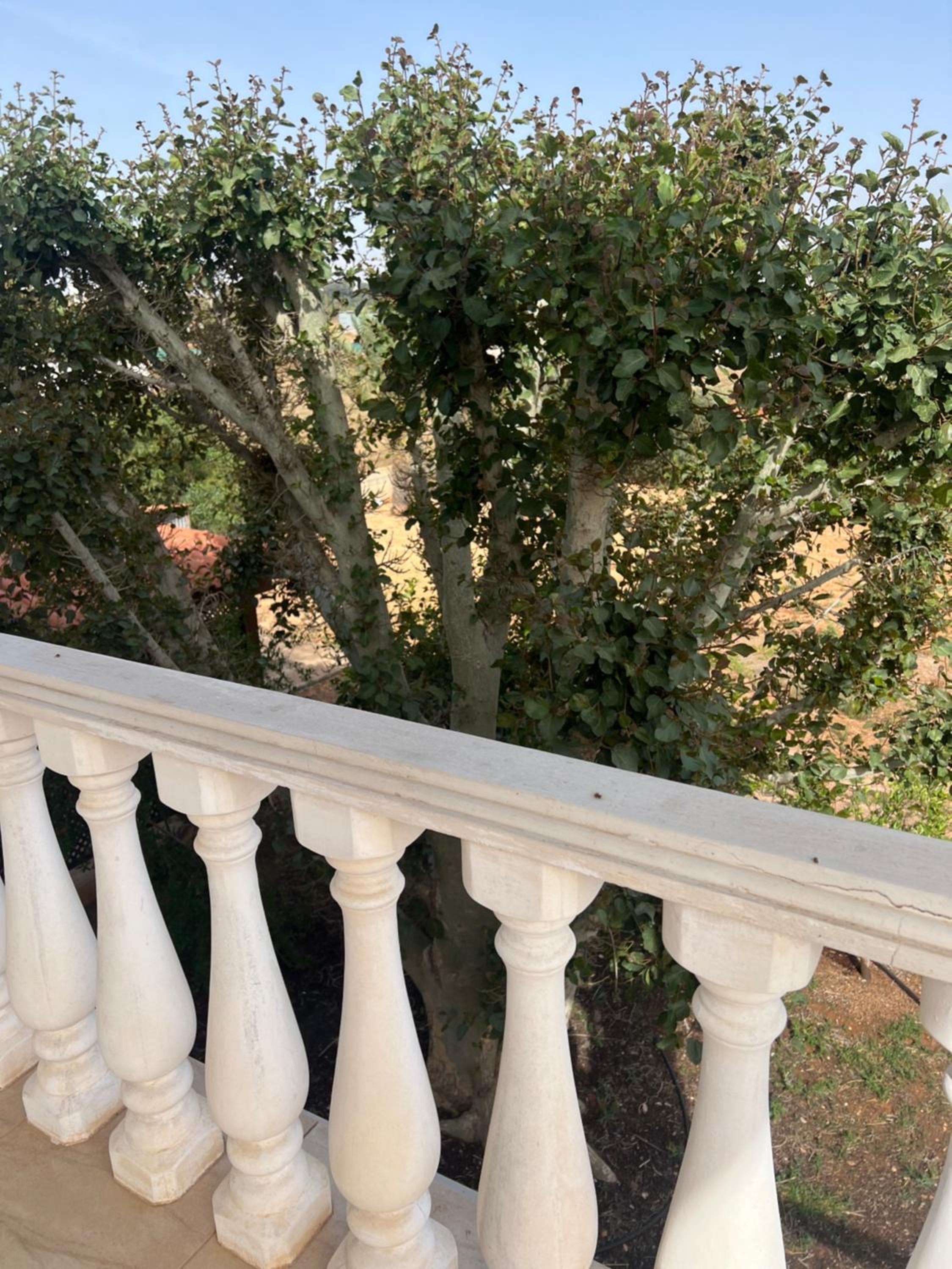 Erini Villa