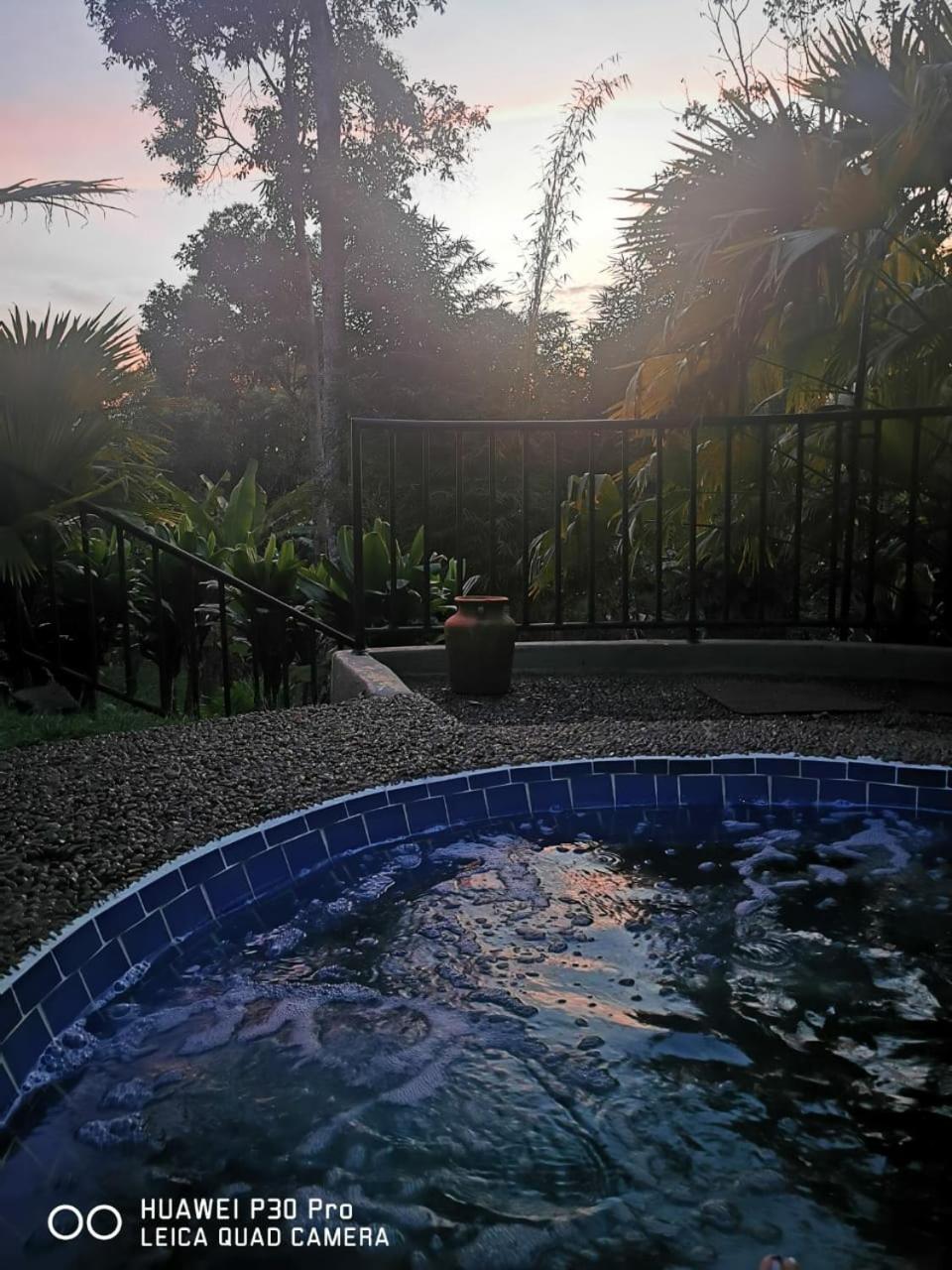 El Laurel Finca Agroturistica