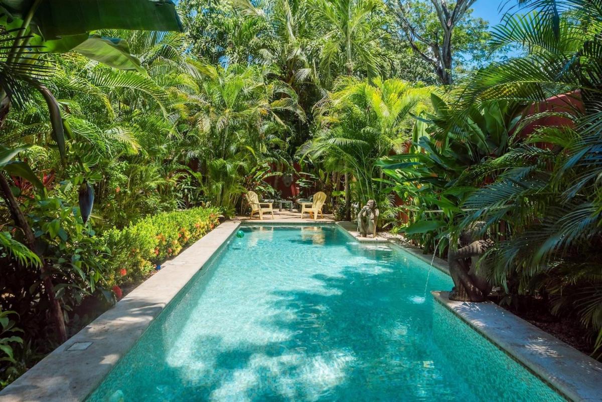 Lush Jungle Paradise - Walk to Beach