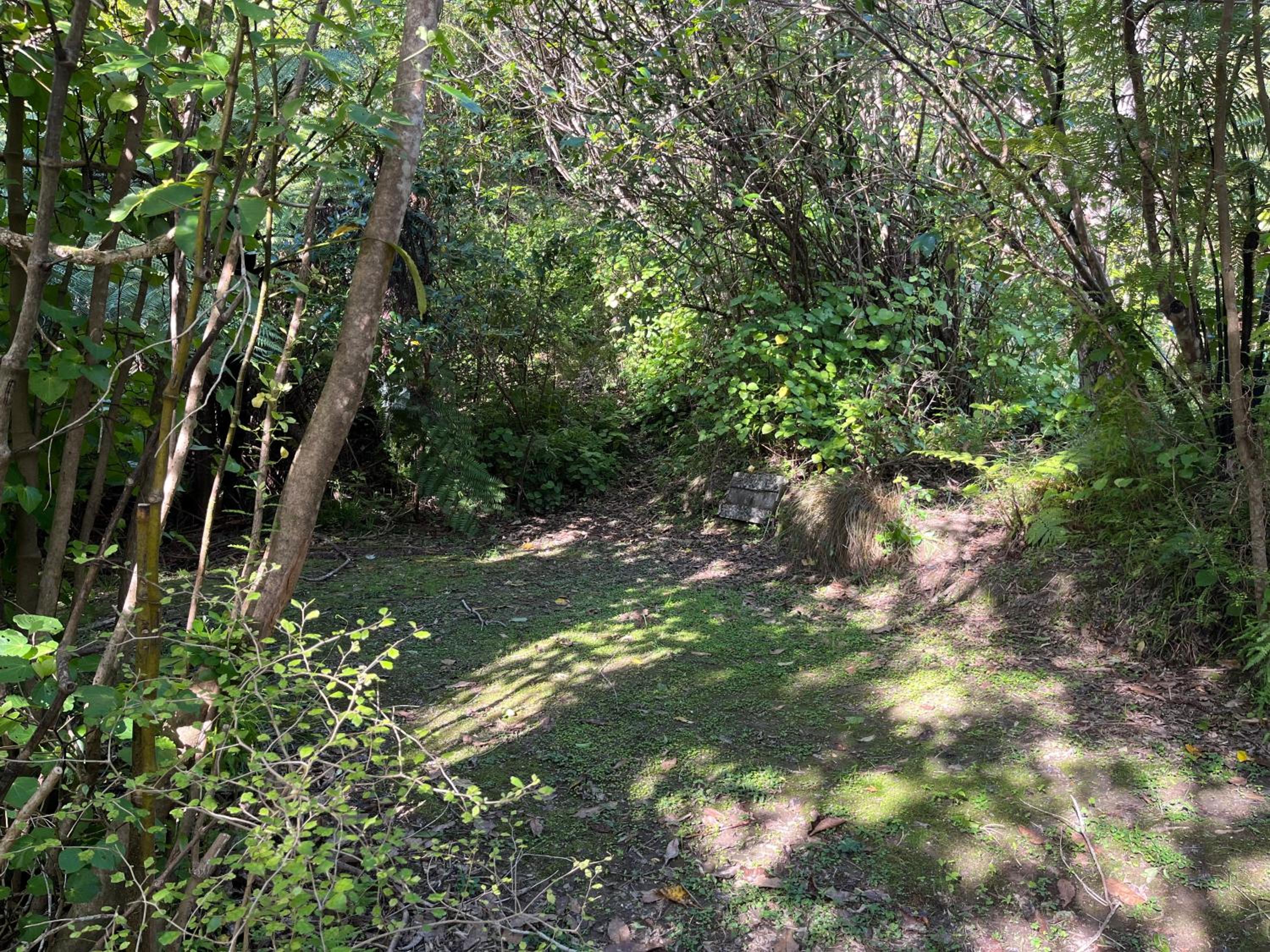 Photo 21