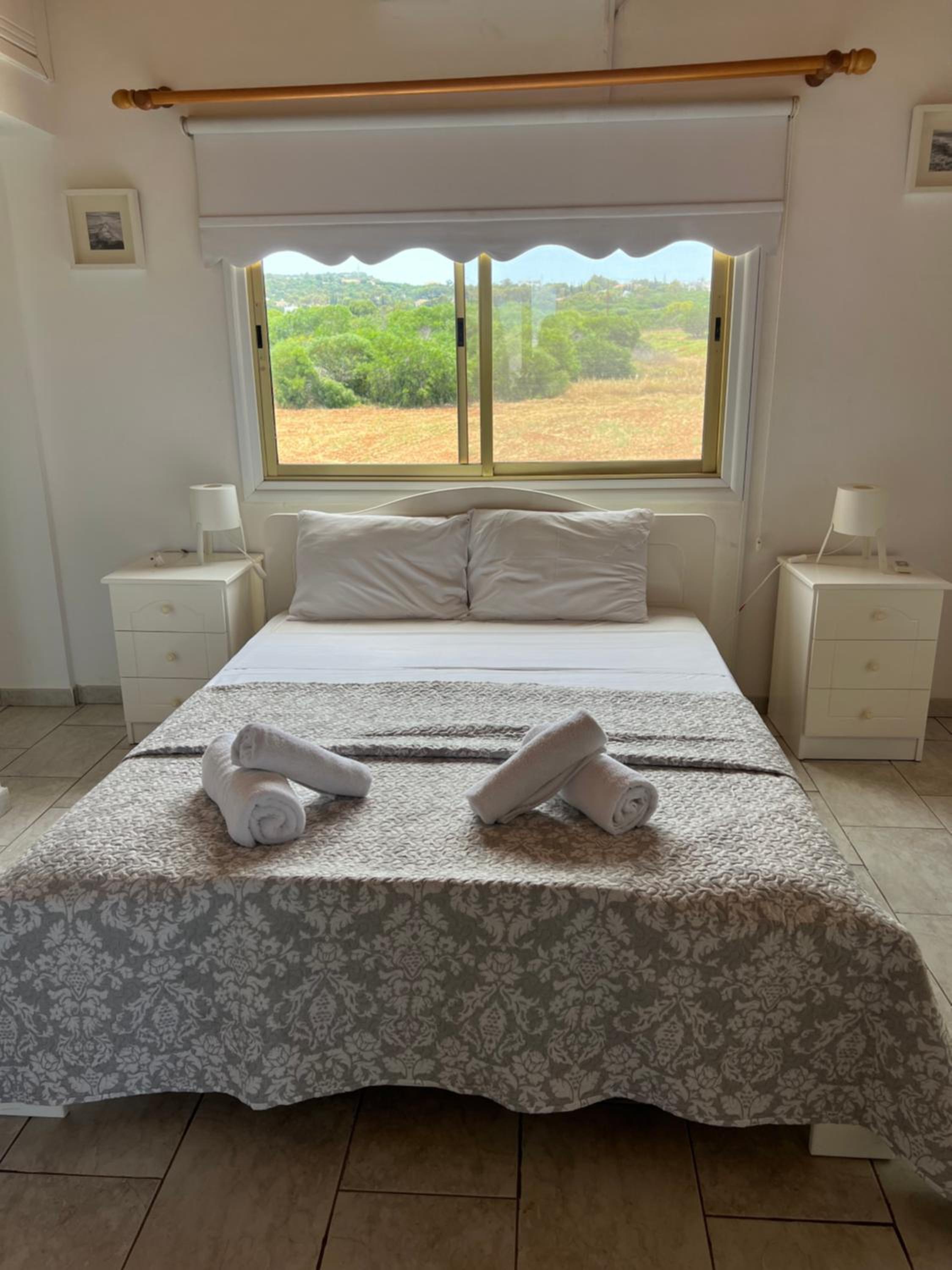 Erini Villa