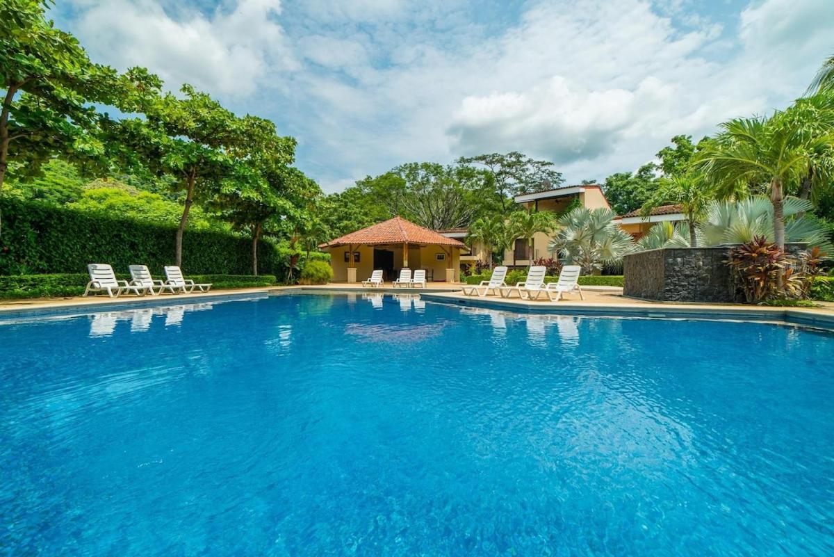 Snorkel Paradise Condo, Pool, Steps to the Beach