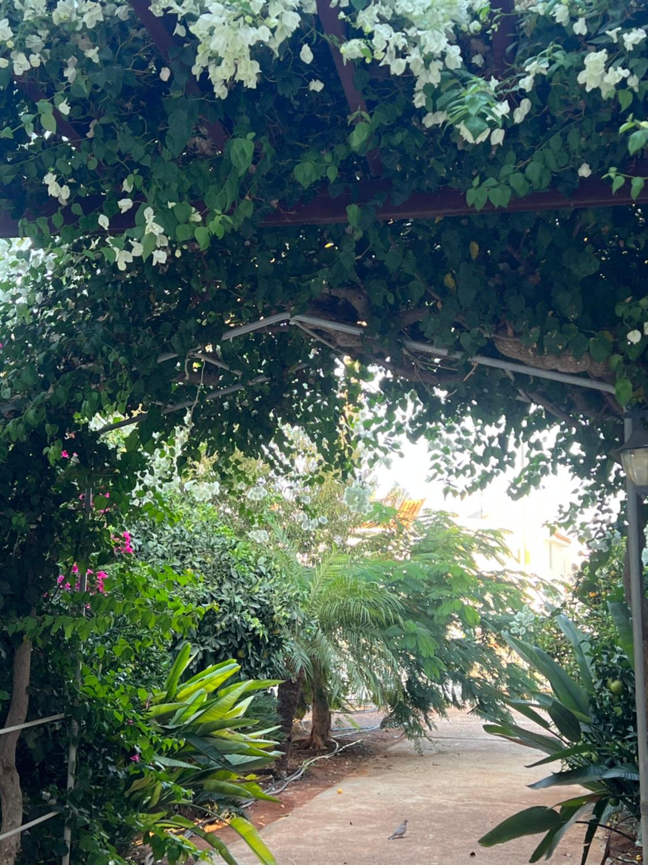 Erini Villa