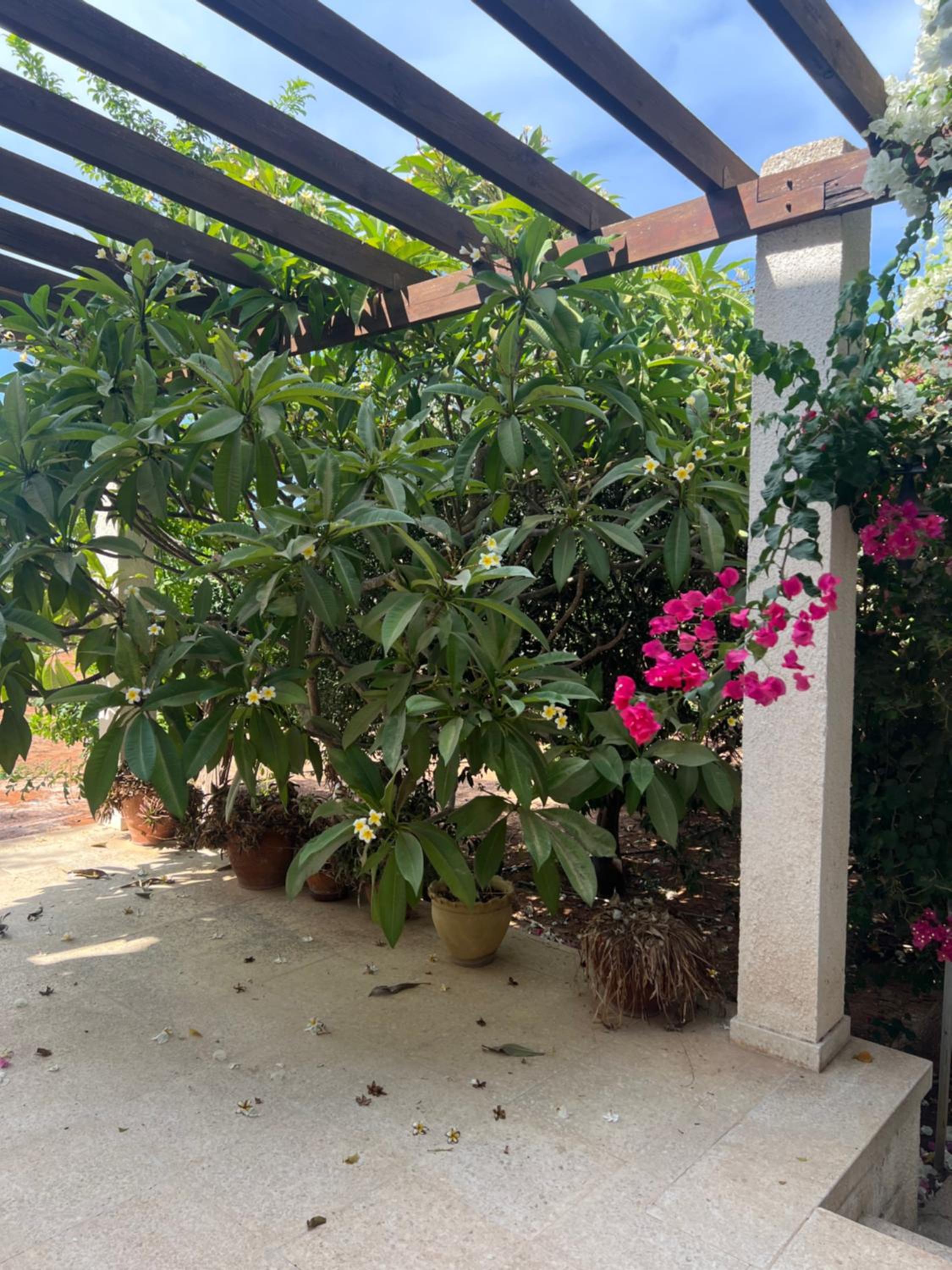 Erini Villa