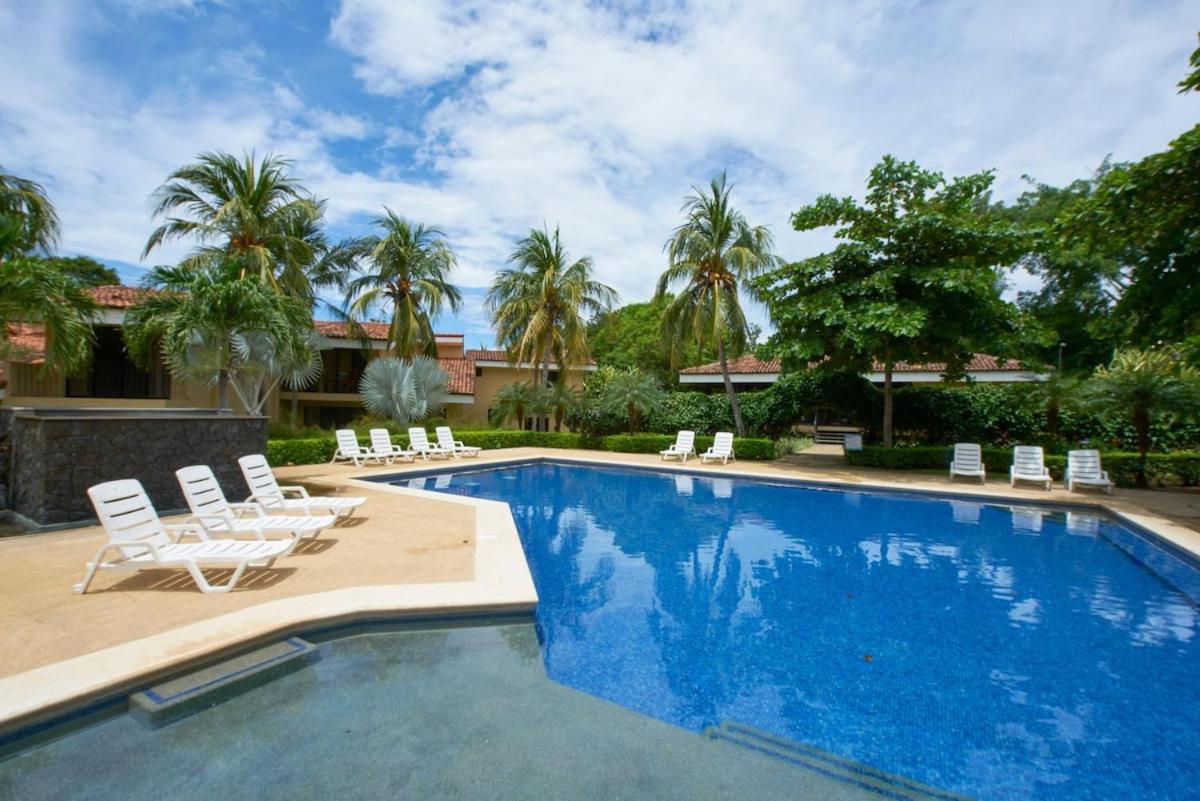 Snorkel Paradise Condo, Pool, Steps to the Beach