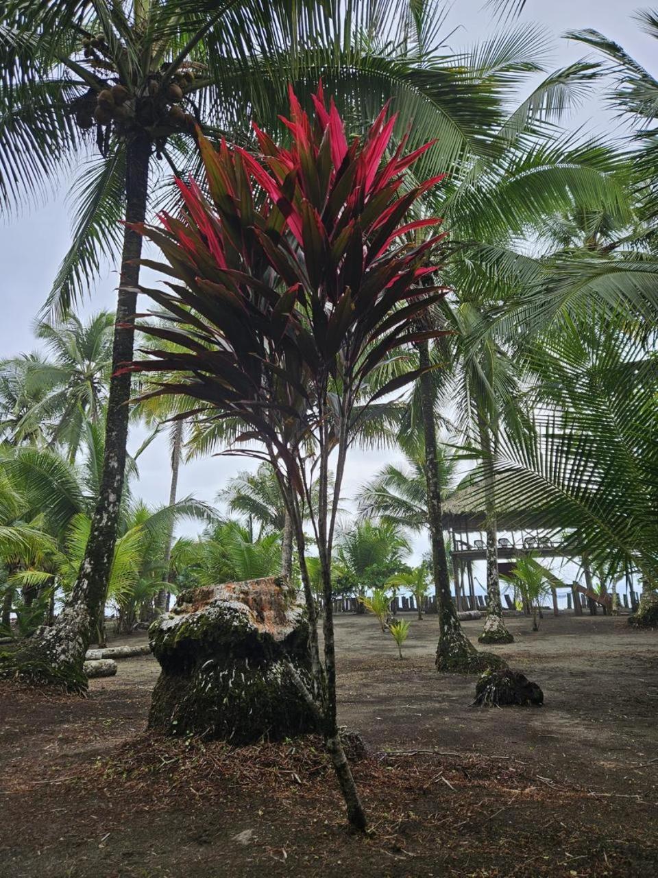 HOSPEDAJE DOÑA NEL