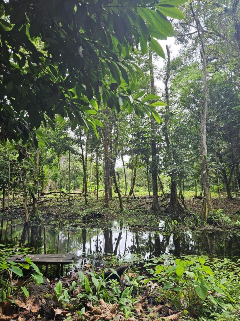 HOSPEDAJE DOÑA NEL