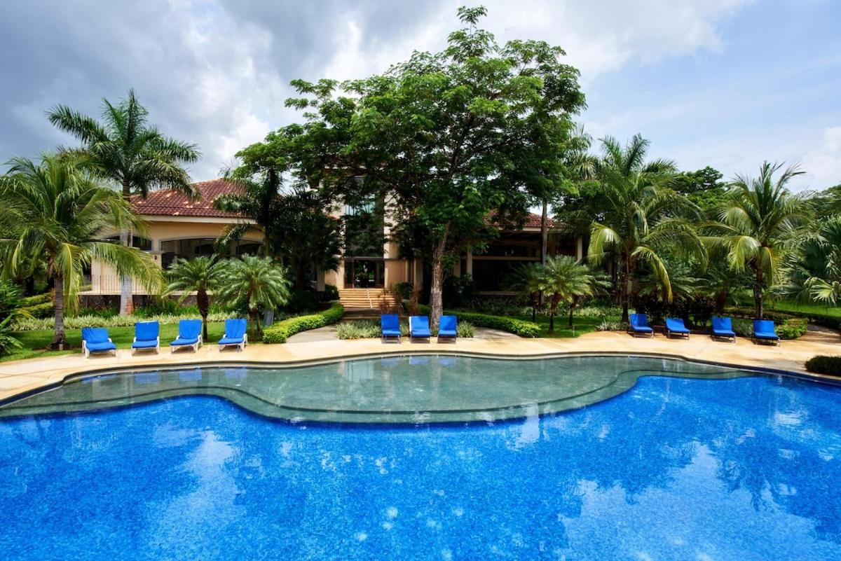 Snorkel Paradise Condo, Pool, Steps to the Beach