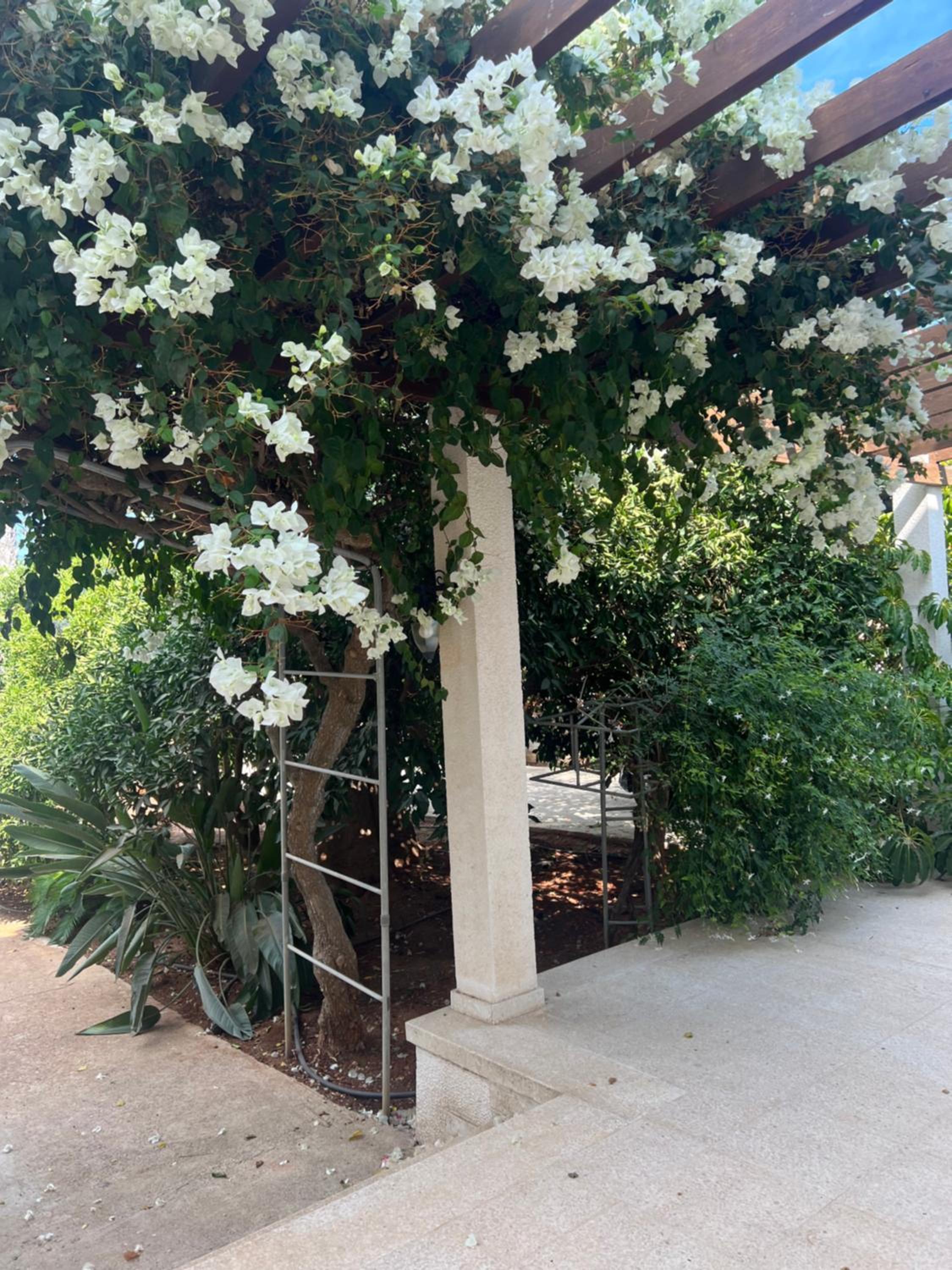 Erini Villa