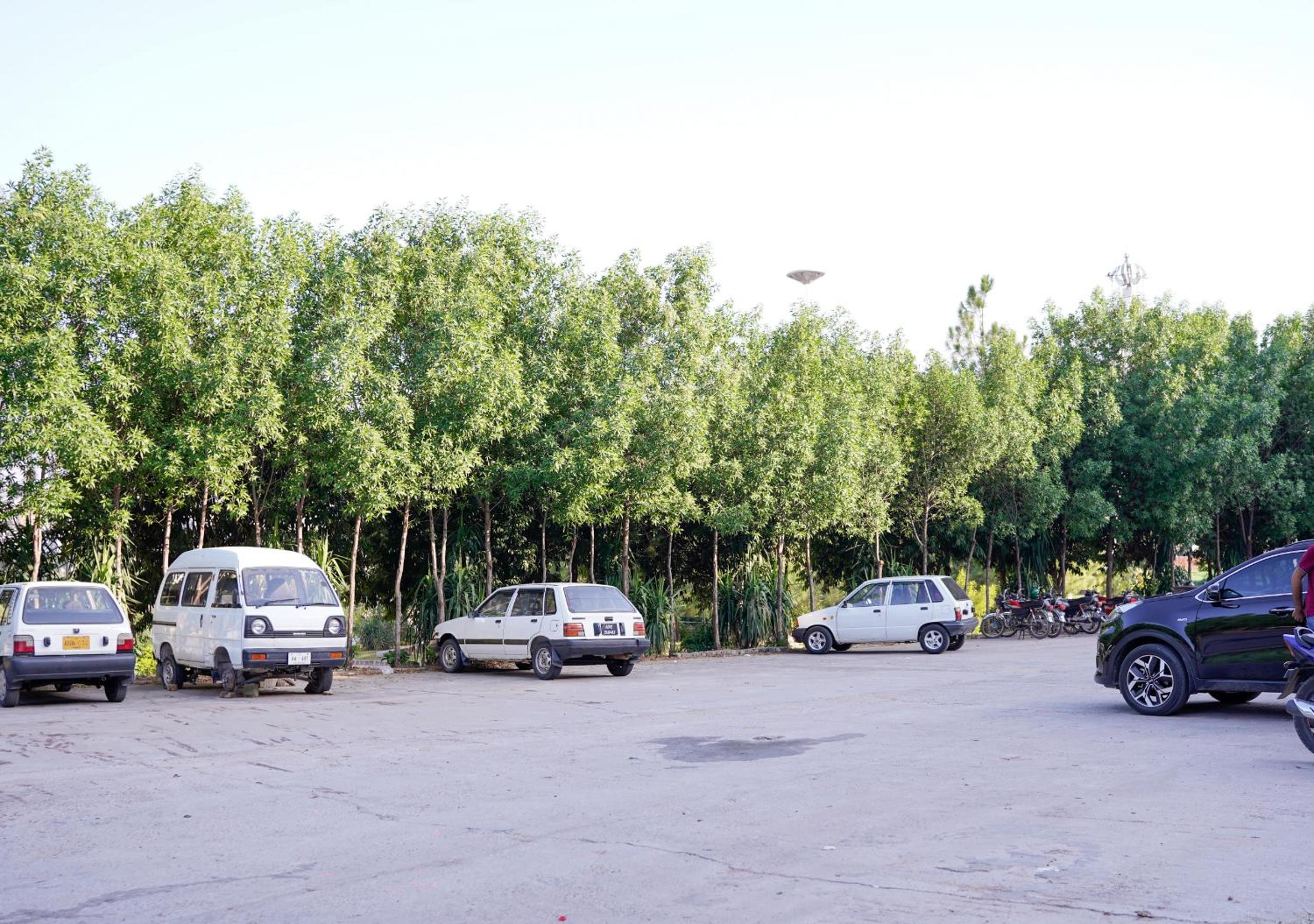 Photo 30