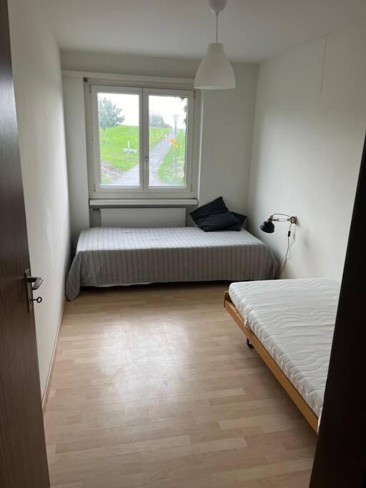 Wohnung Felix