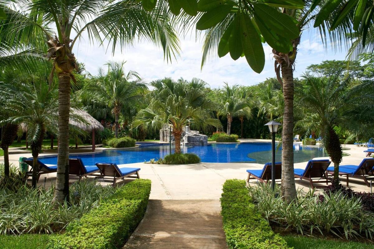 Snorkel Paradise Condo, Pool, Steps to the Beach