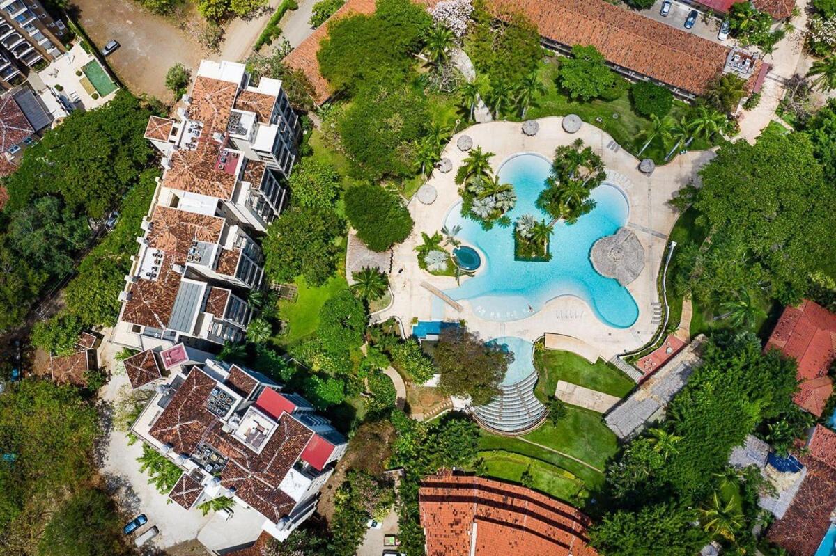 Ocean View, Pool Bar & Walk to Everything