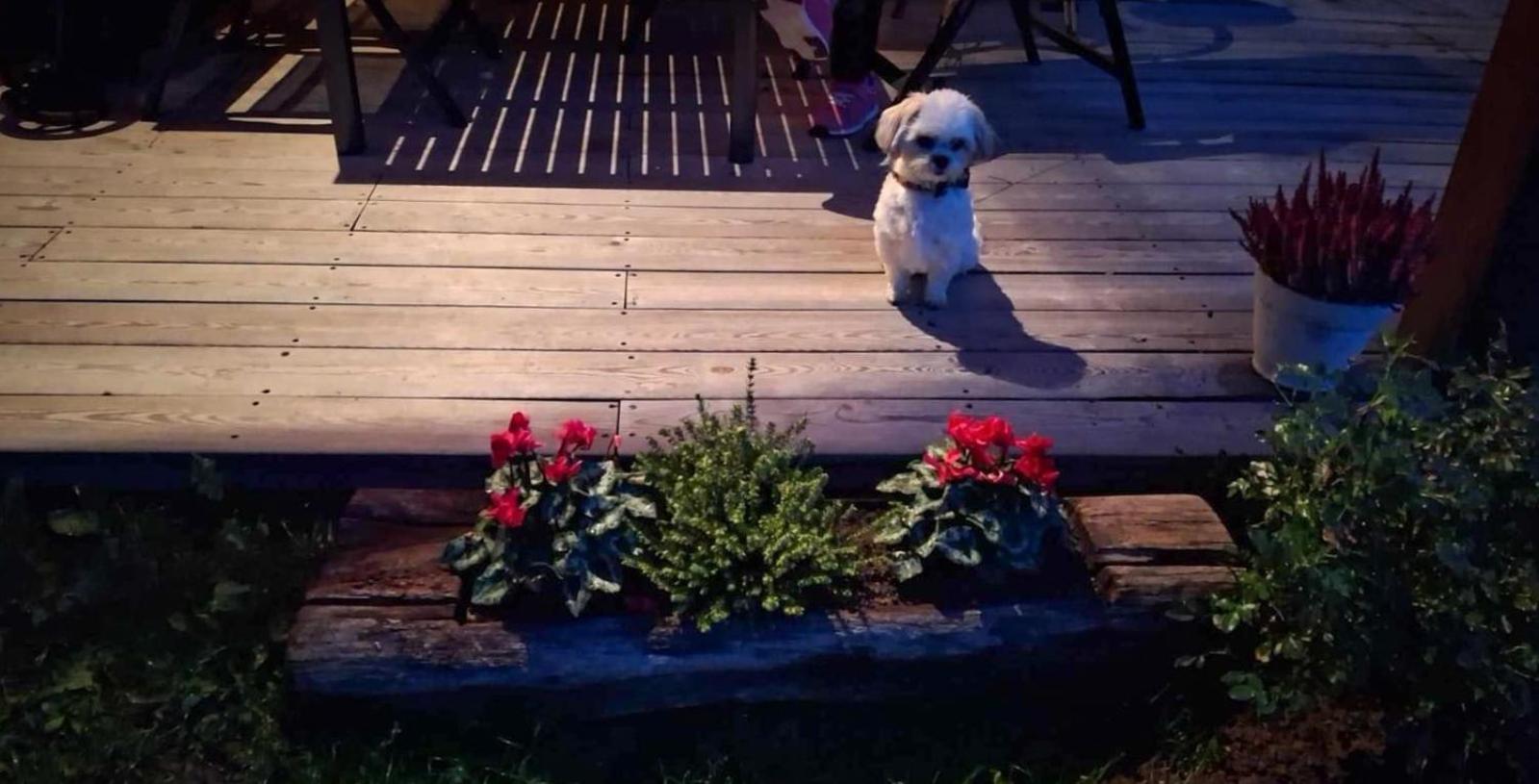 Johanca