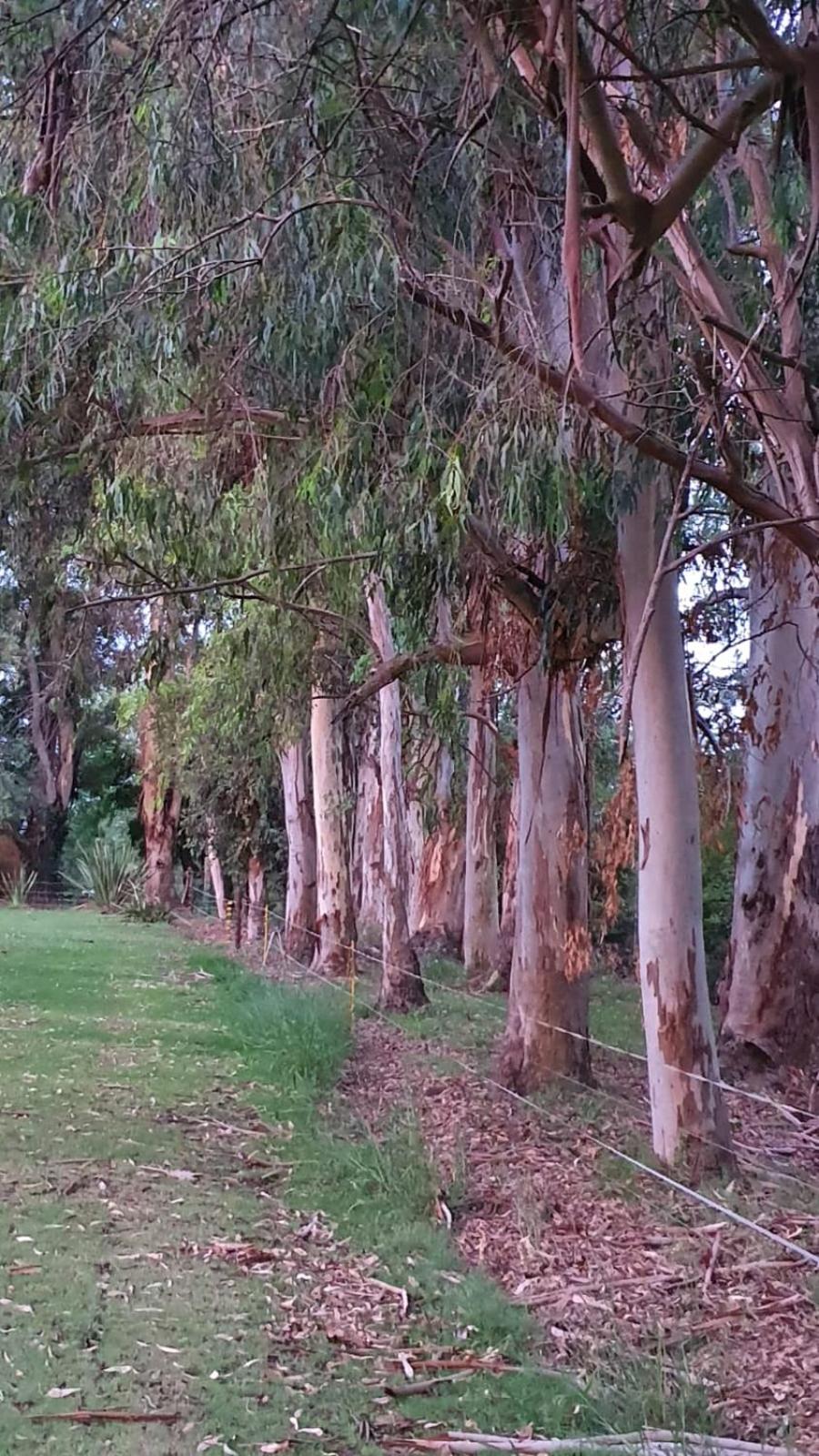 Quinta Casa de Campo