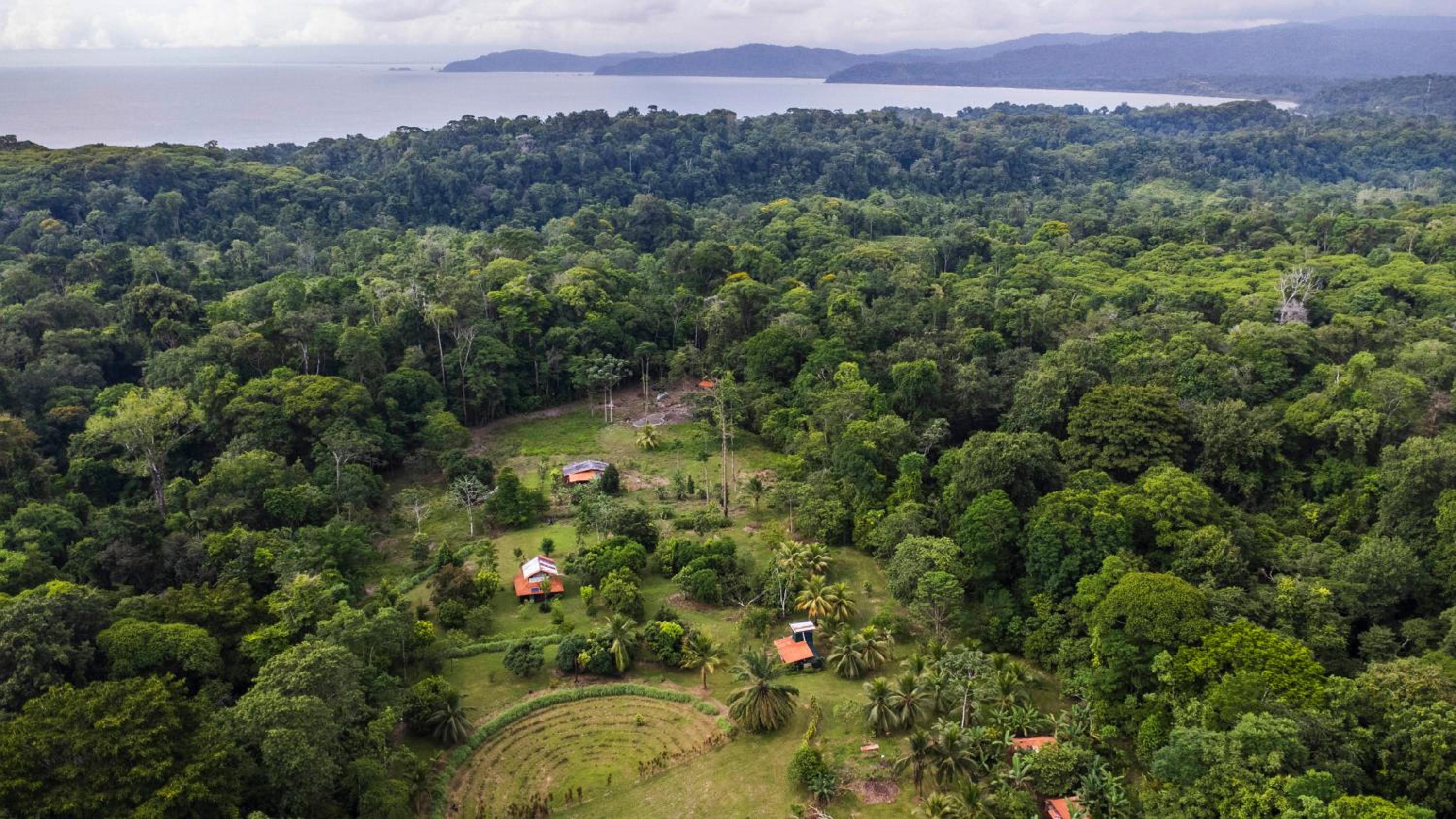 Eco Lodge&Farm Rustic Roots Reserve
