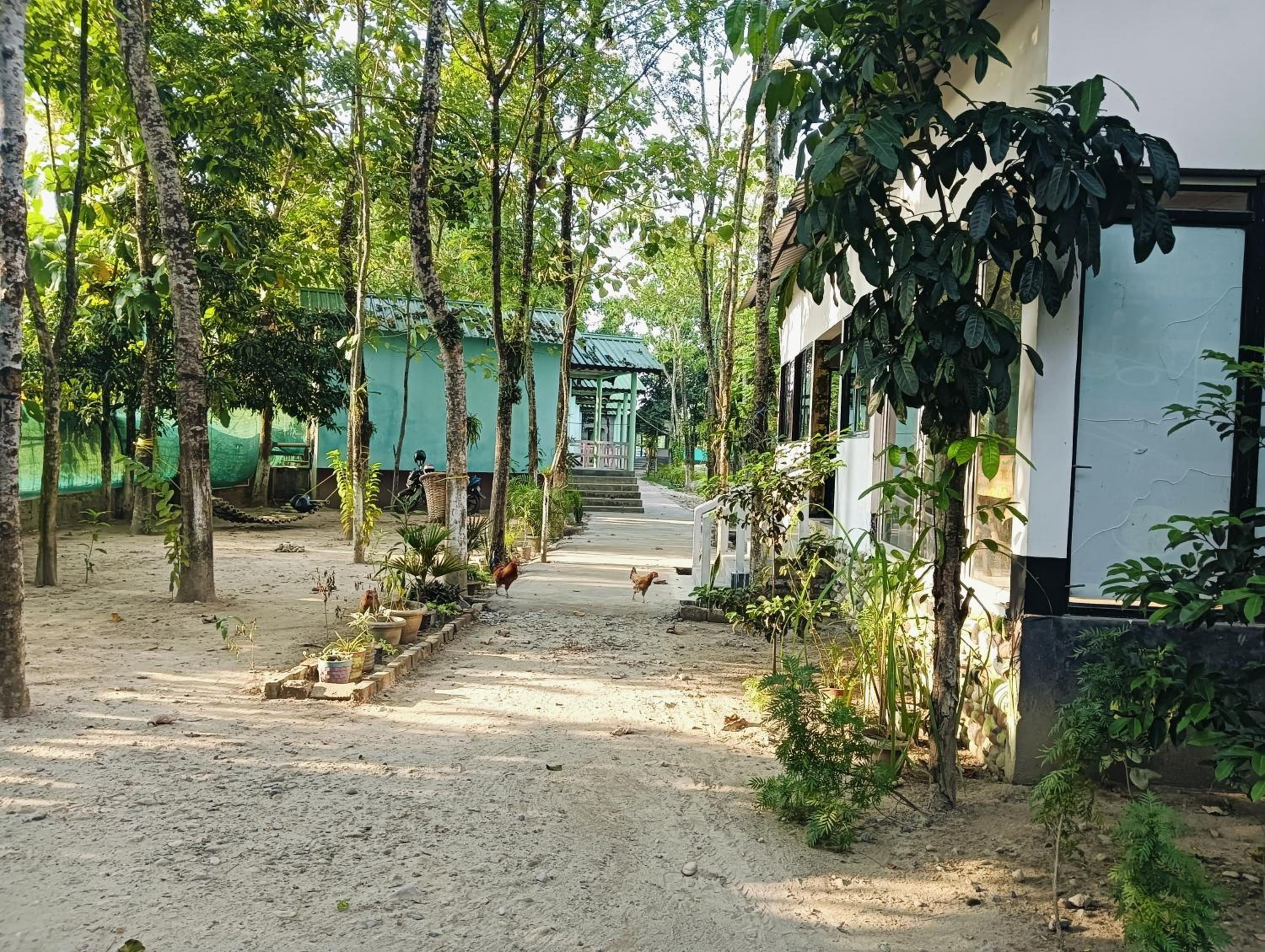 Daomasar Eco Resort view 2