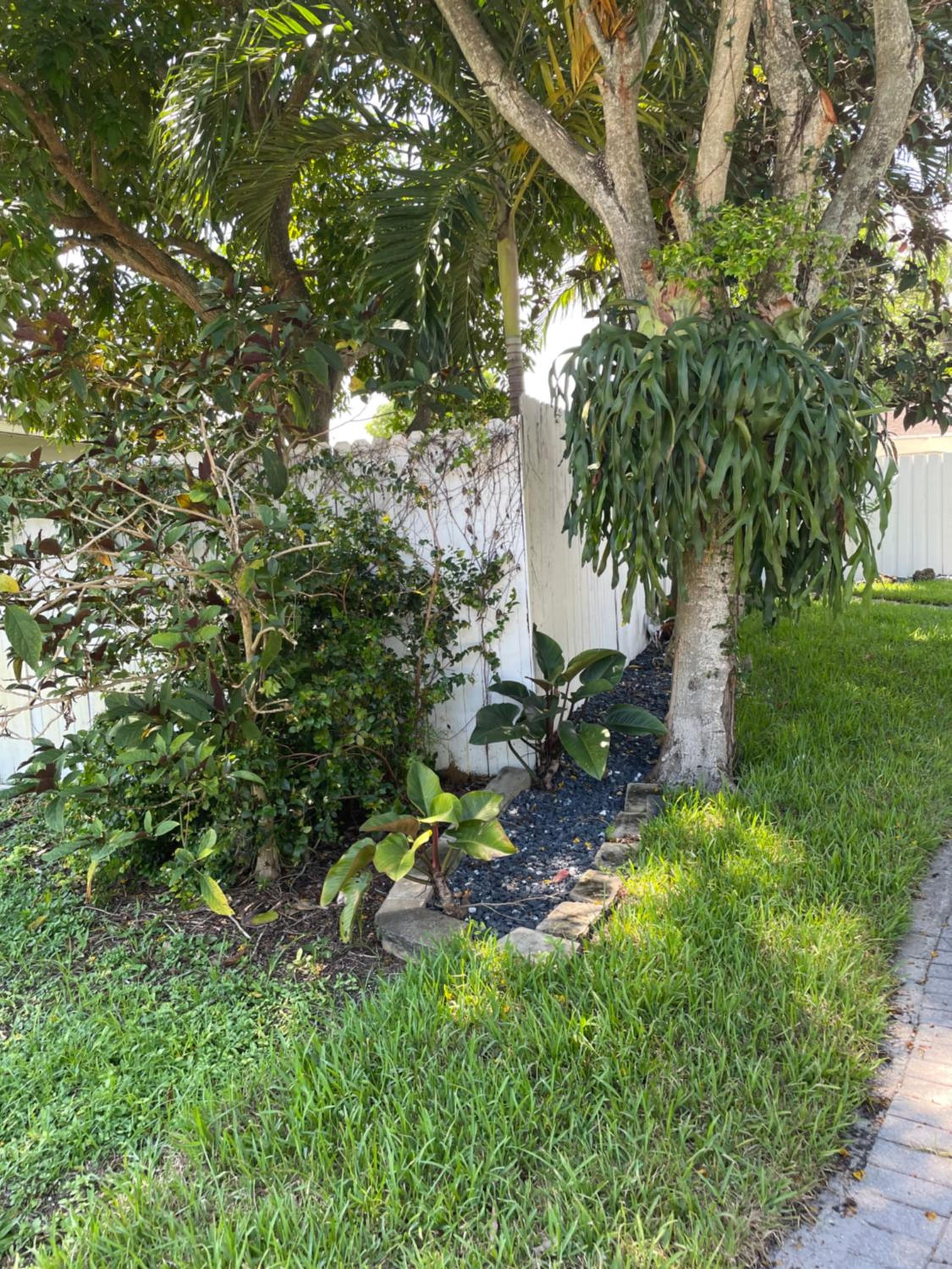 Tree houze