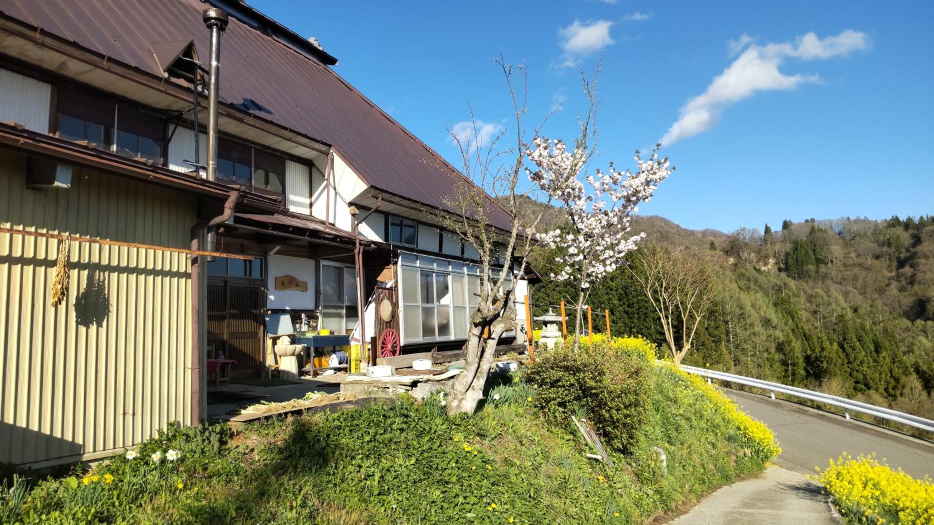 iorimokkou