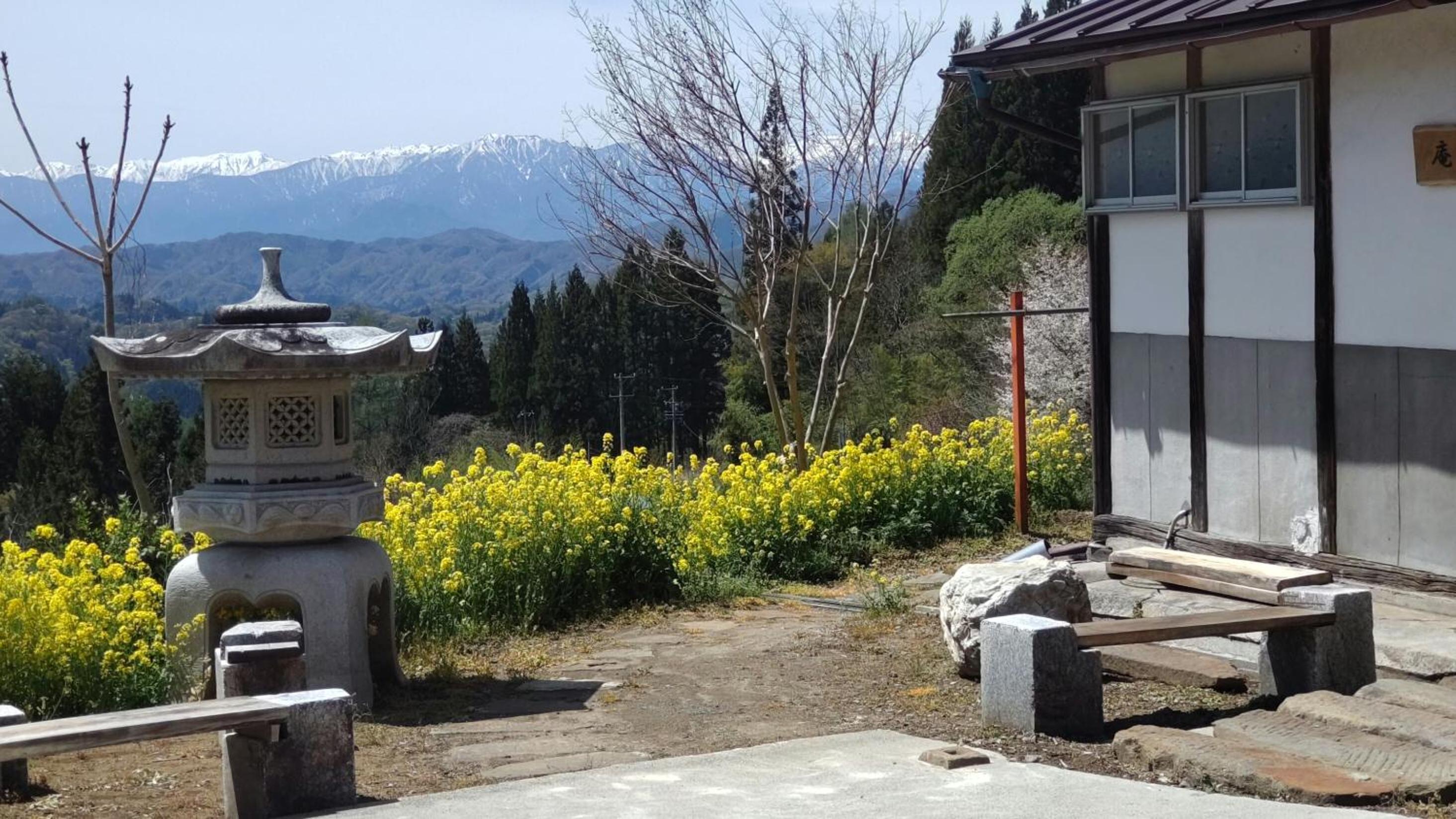 iorimokkou