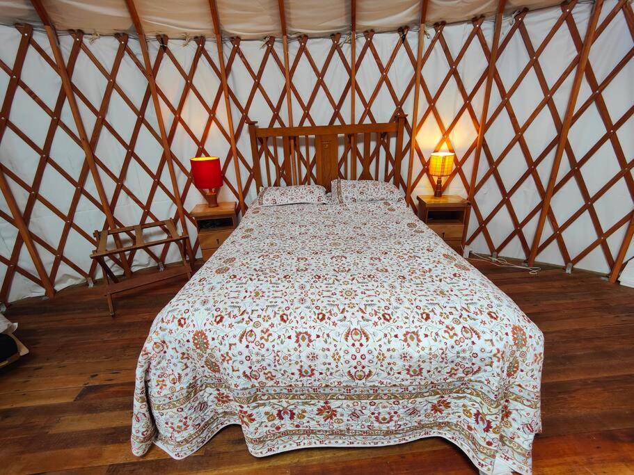 The Yurt at Ōraka view 2