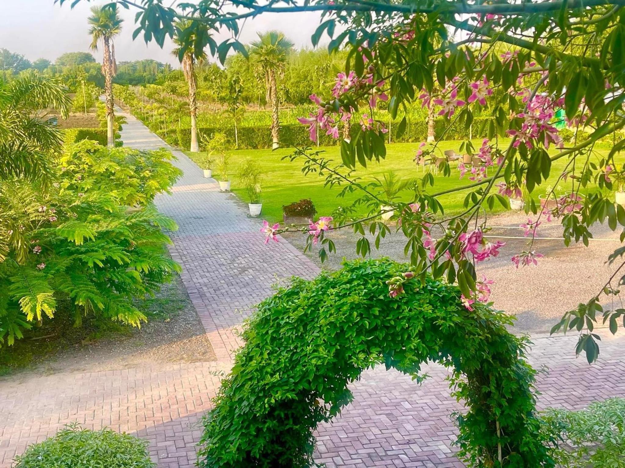 Jhelum Farm house view 3