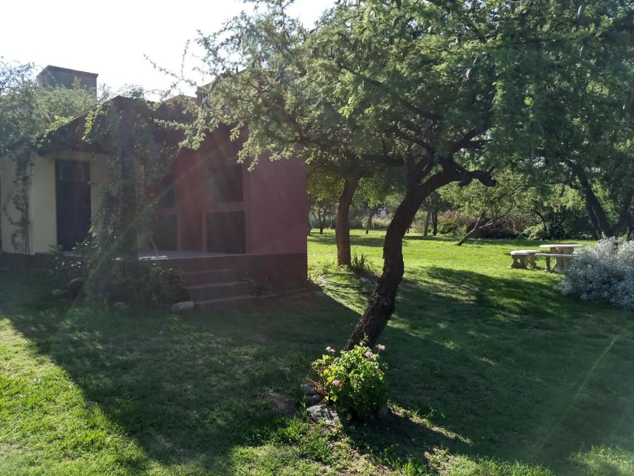 Colibríes en Las Moreras