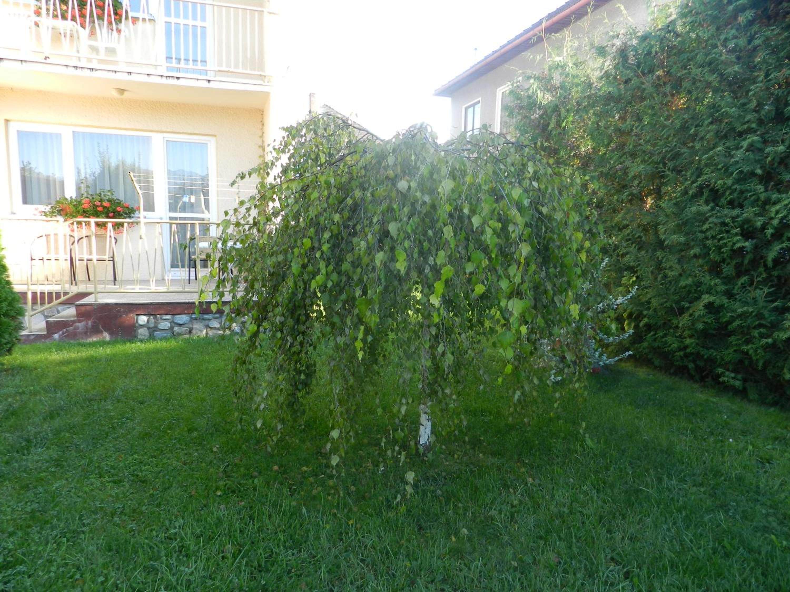 Photo 49