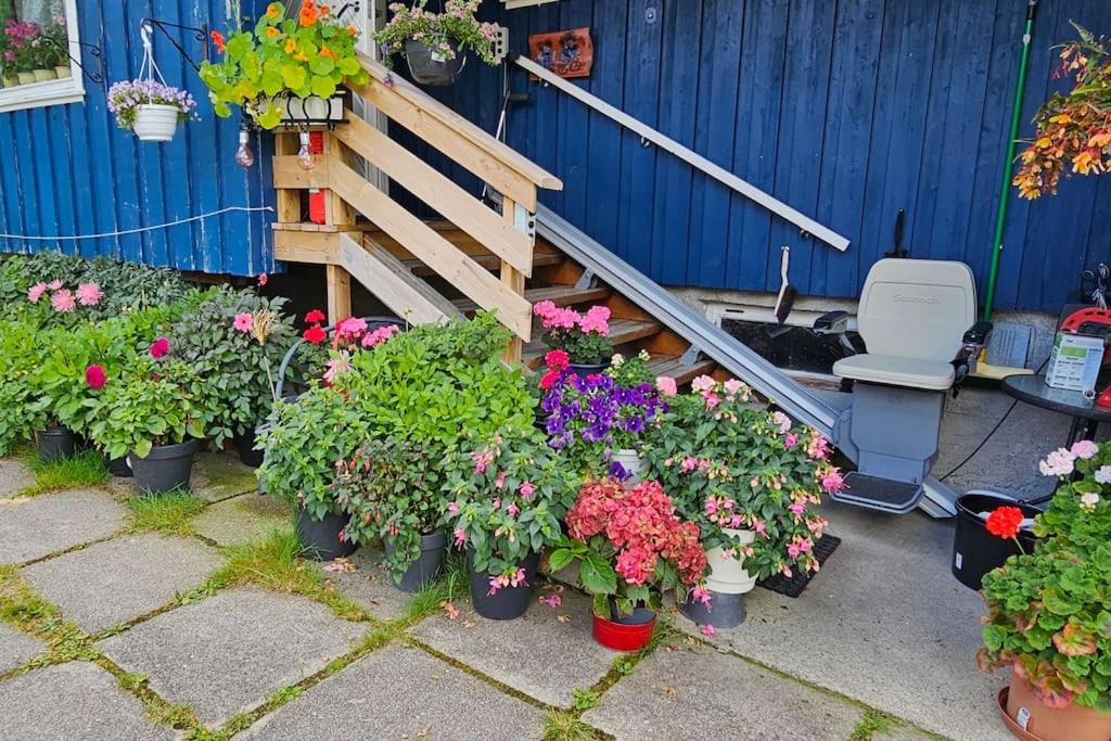 Haugen hytteutleie og camping - helt ny hytte - ferdigstilt i 2024 view 2