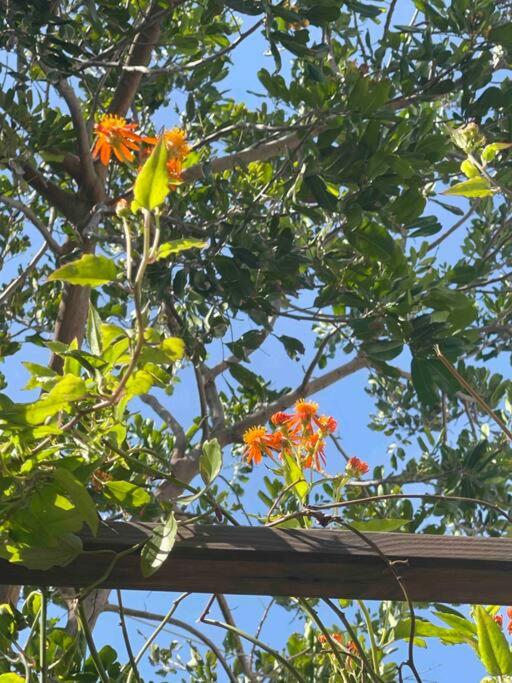 Walk to the beach Townhouse at Cape Canaveral